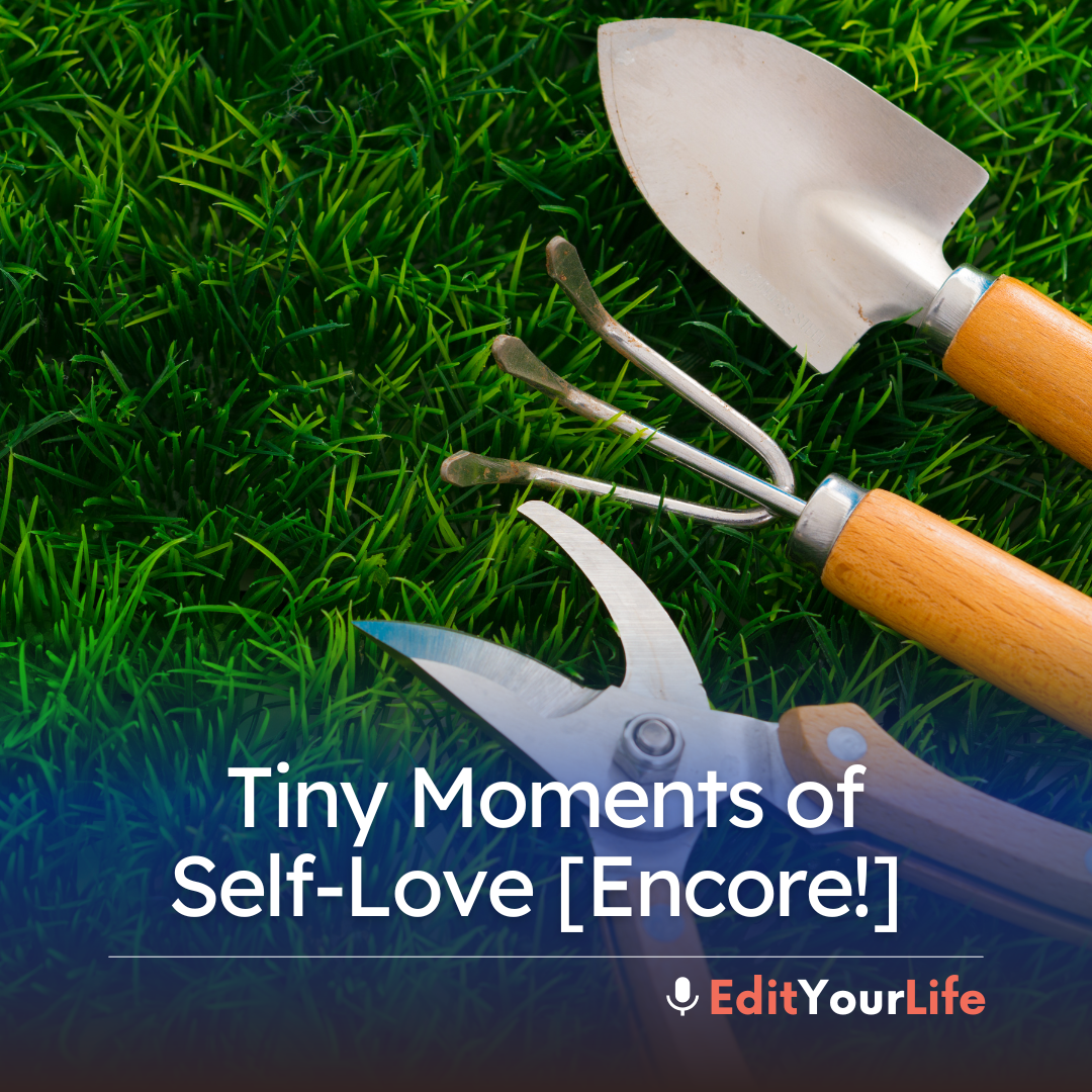 Tiny Moments of Self-Love [Encore!] episode artwork