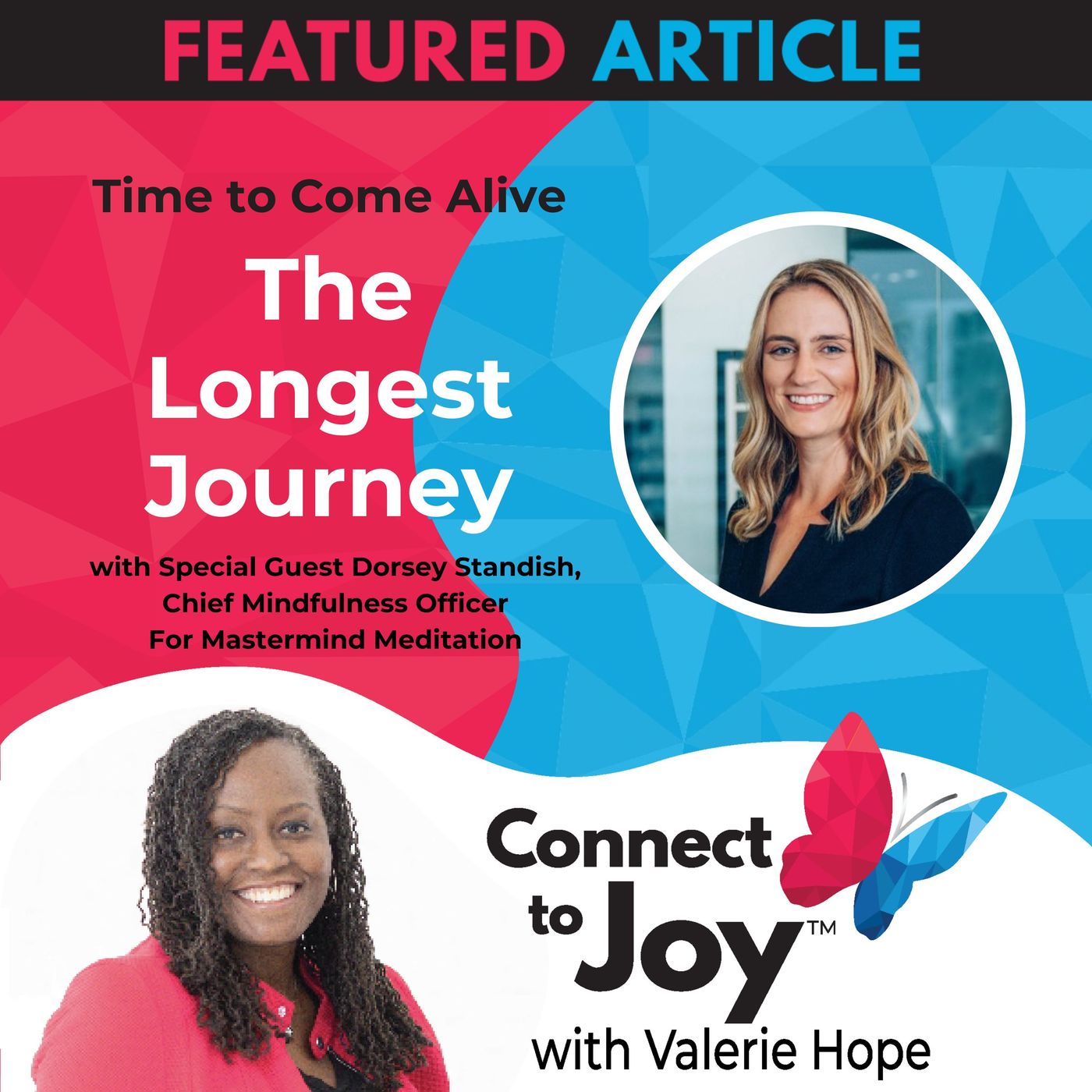 Ep. 54 - Time To Come Alive: The Longest Journey With Dorsey Standish, Chief Mindfulness Officer For Mastermind Meditation episode artwork