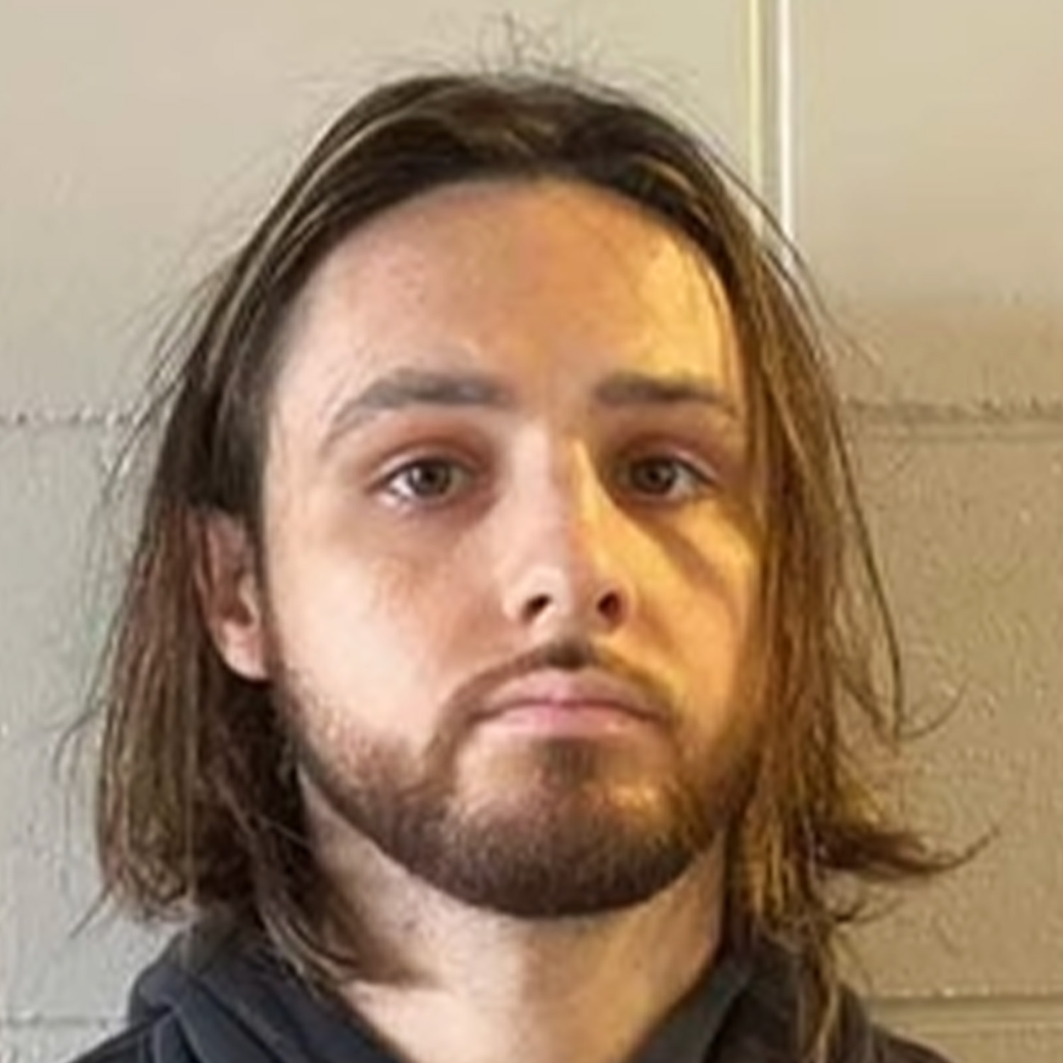 Someone Started the Palisades Fire?!