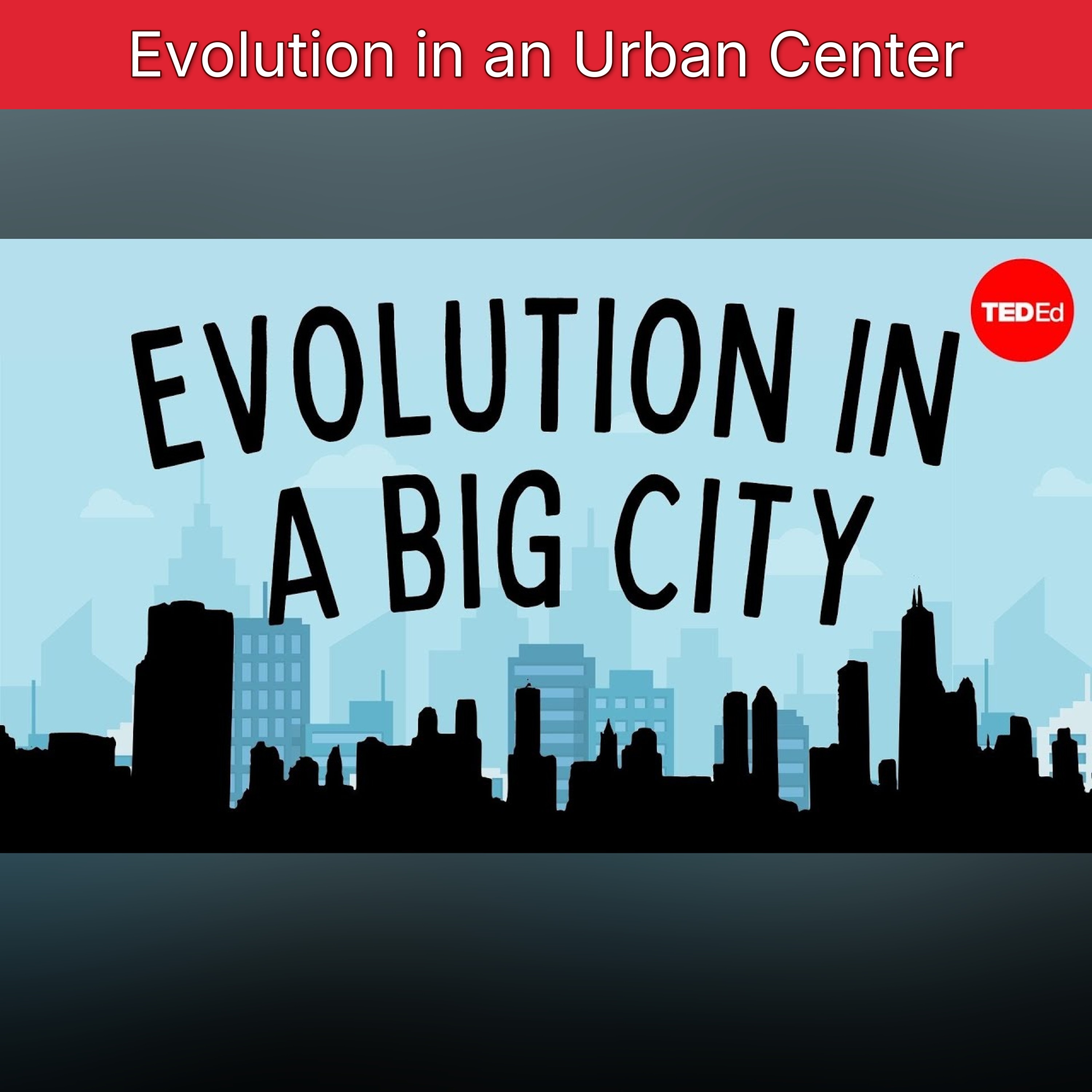 Evolution in an Urban Center episode artwork