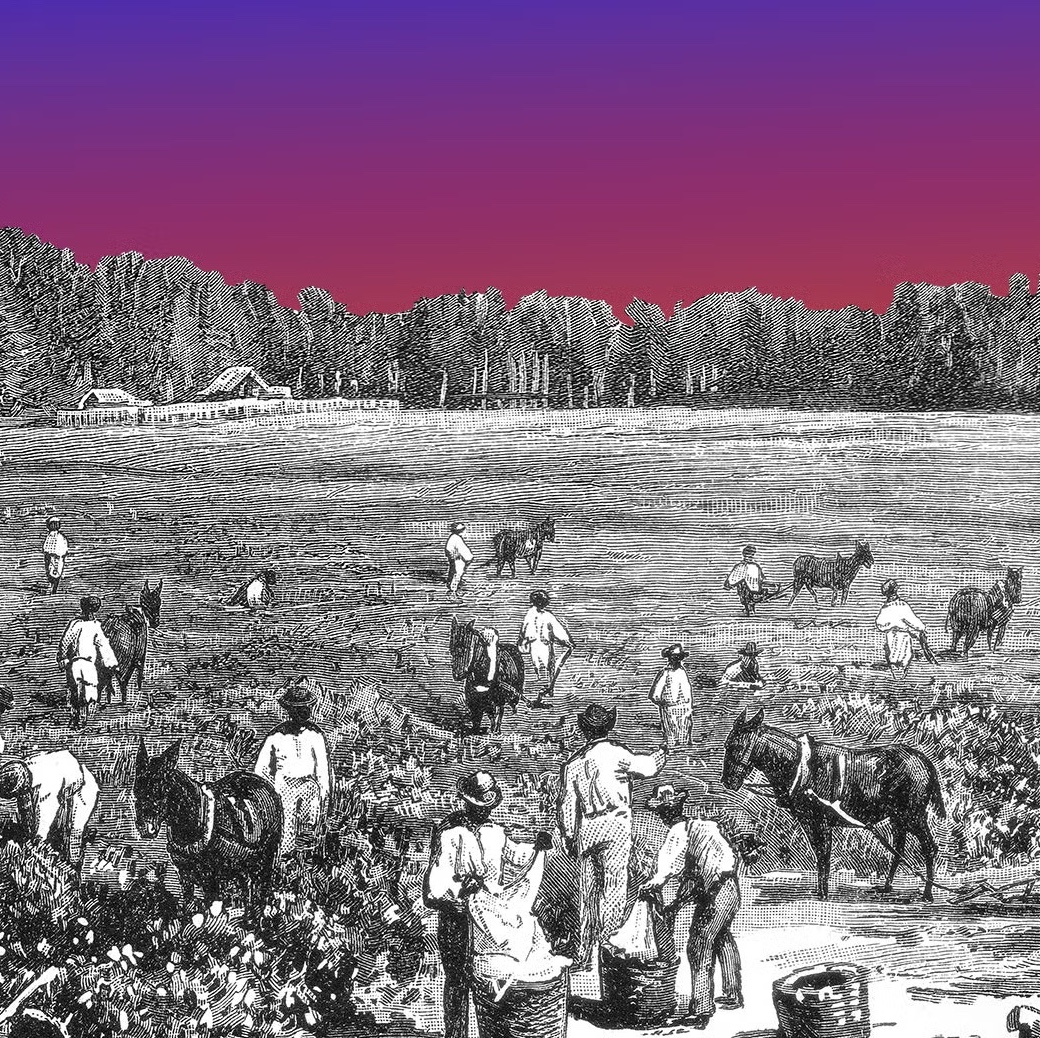 What Next | What Kids Aren't Learning About US History