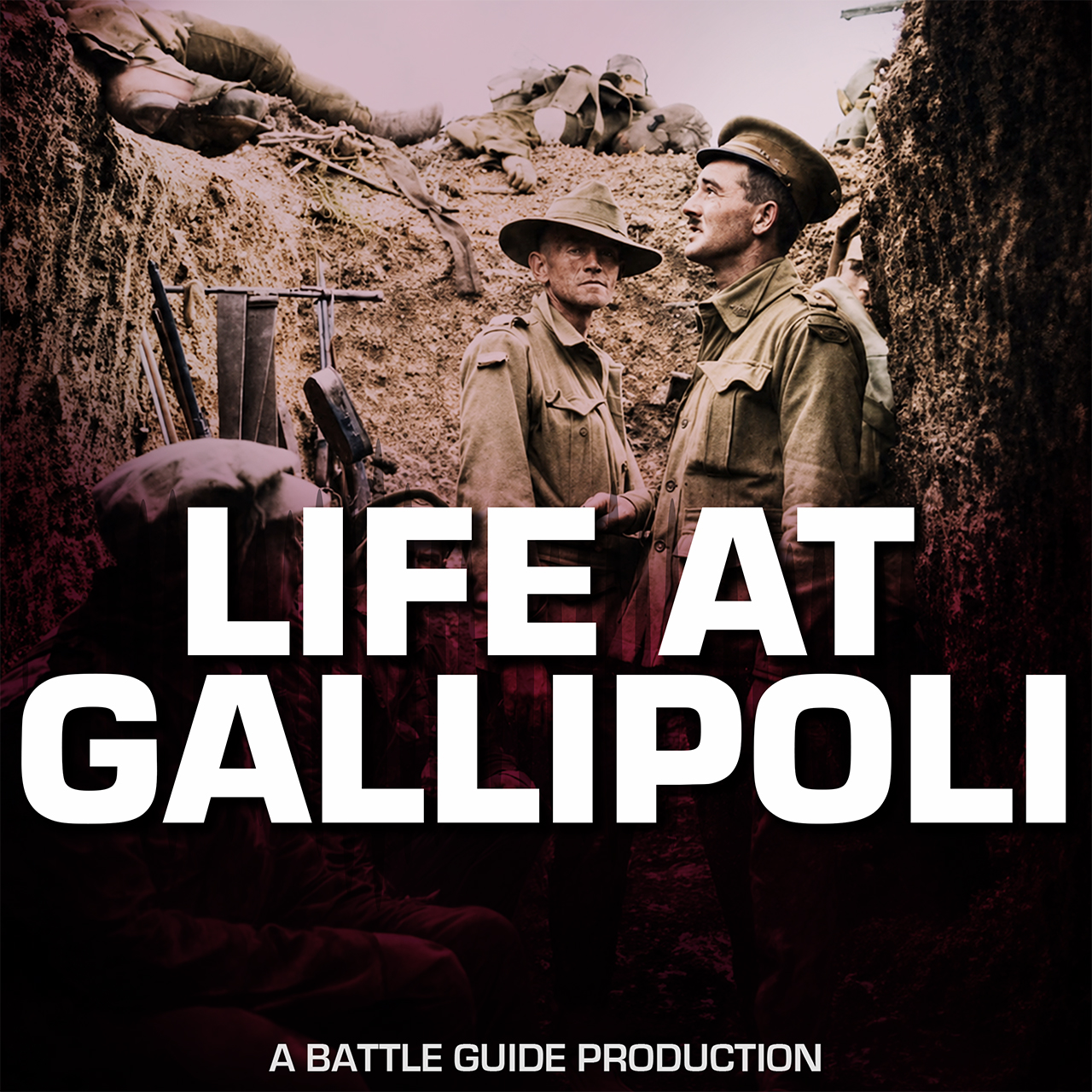 What Was It Really Like to Survive Gallipoli?