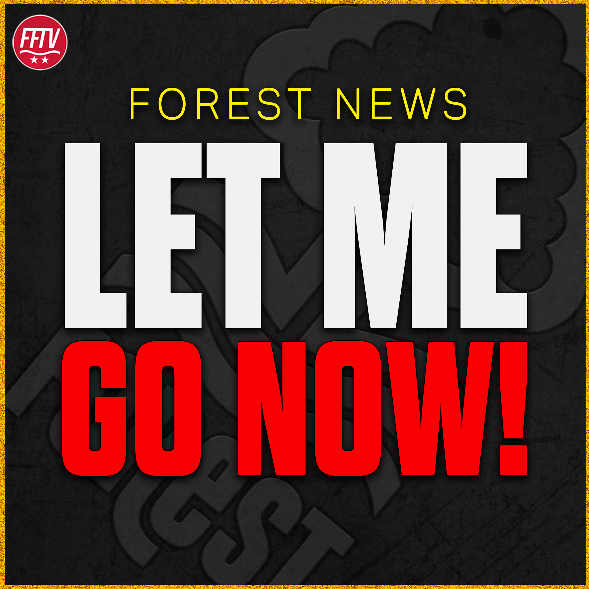 Forest Fan TV - A Nottingham Forest Podcast