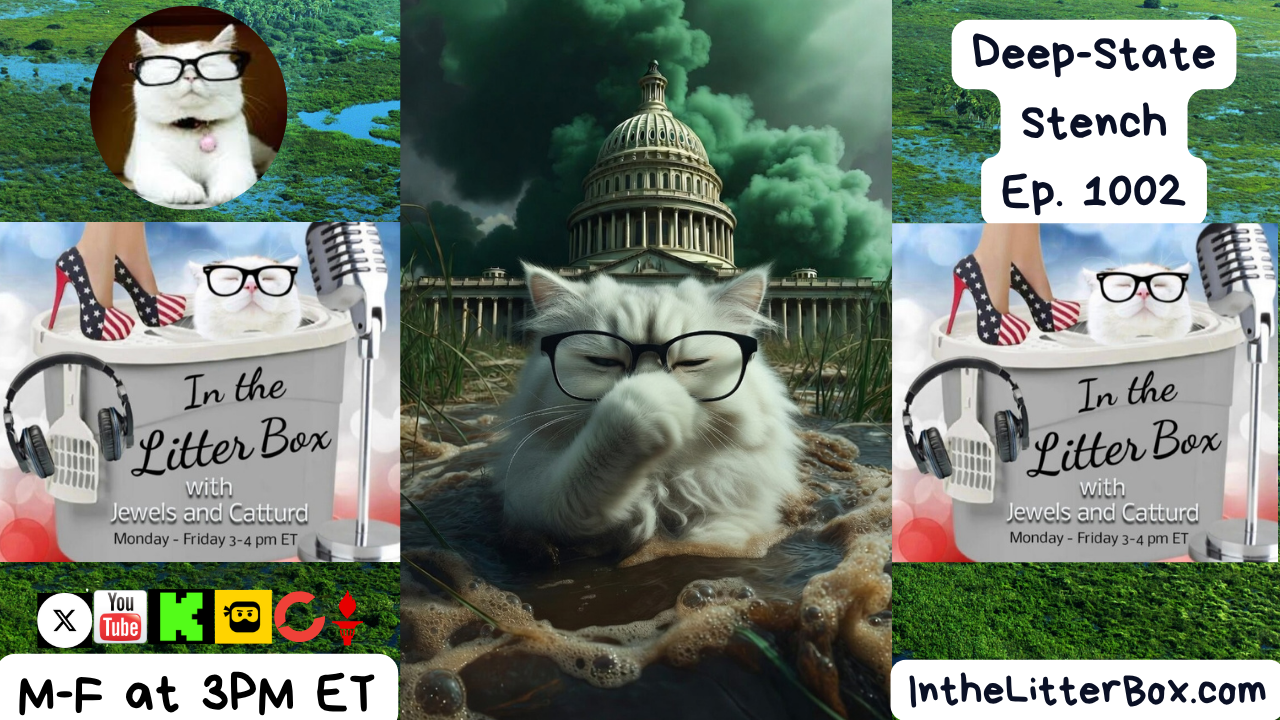 Deep-State Stench | In the Litter Box w/ Jewels Jones & Catturd – Ep. 1002 4/3/2026
