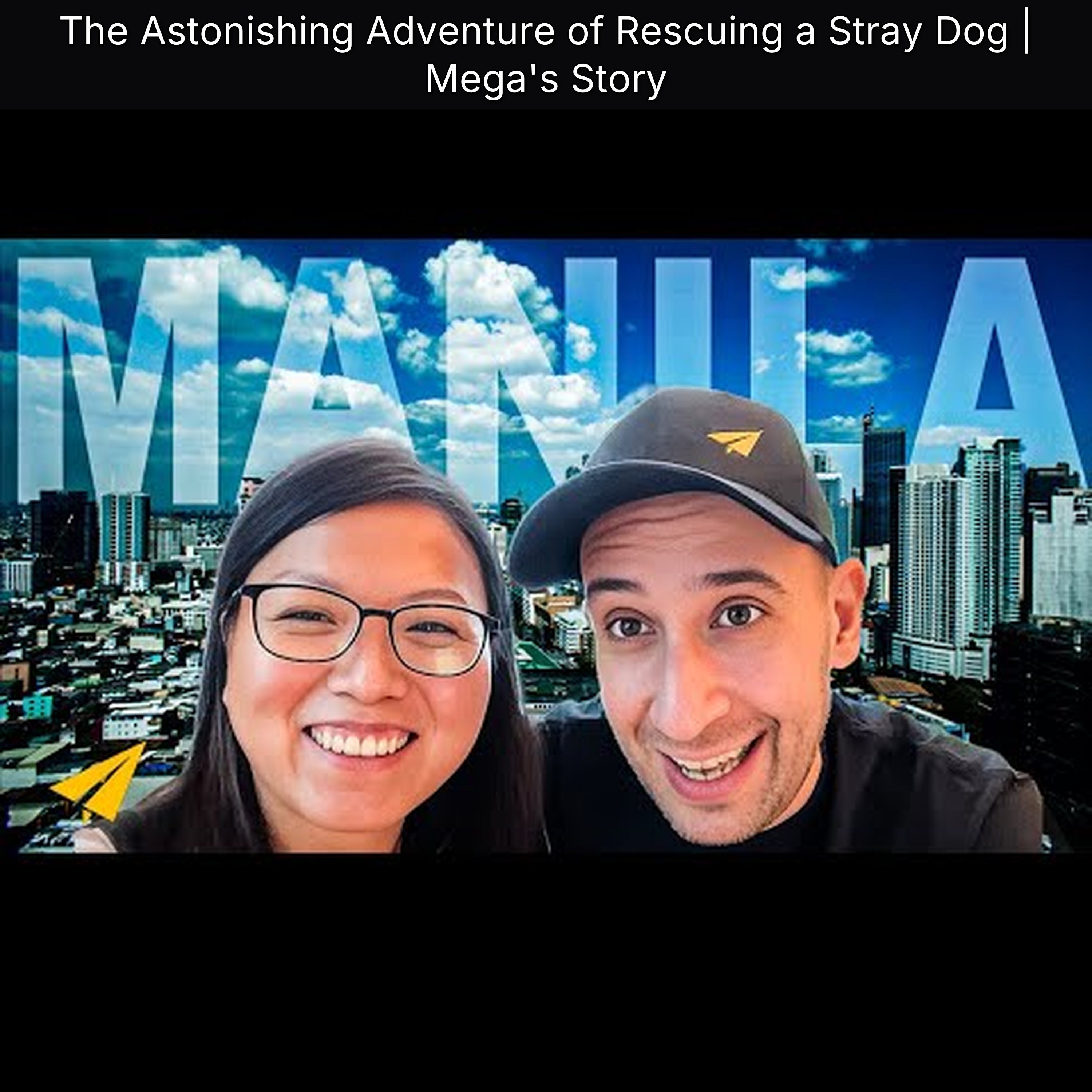 The Astonishing Adventure of Rescuing a Stray Dog | Mega's Story