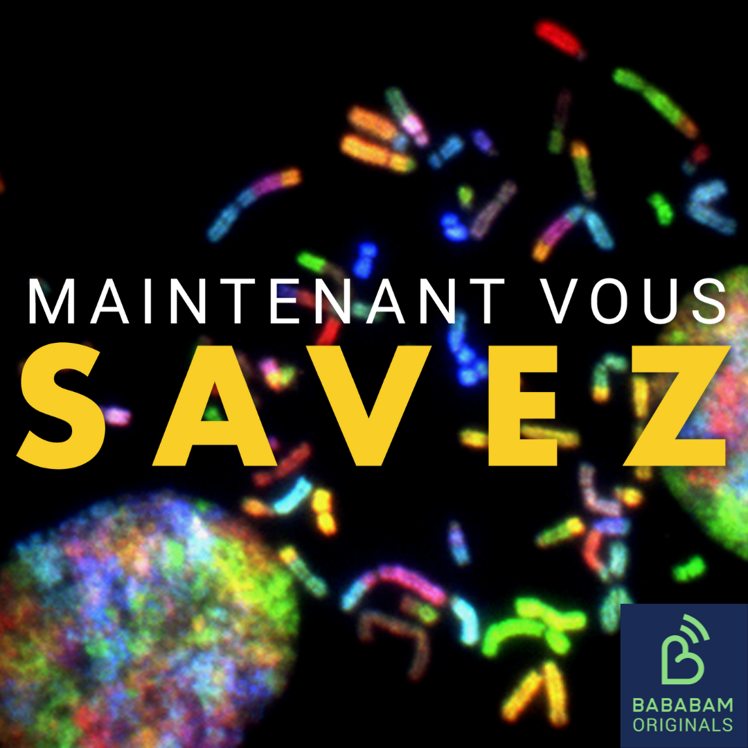 Qu’est-ce que le gène sauteur Tob ? 