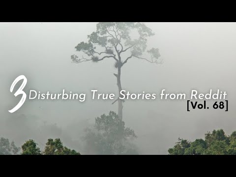 Vol. 68 - Disturbing True Stories from Reddit episode artwork