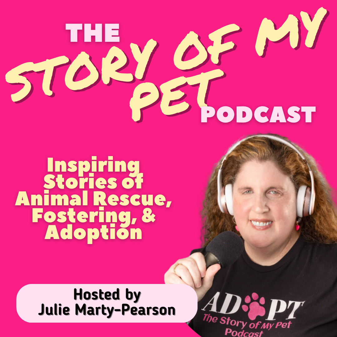 Set Lusting Bruce: The Bruce Springsteen Fan Podcast