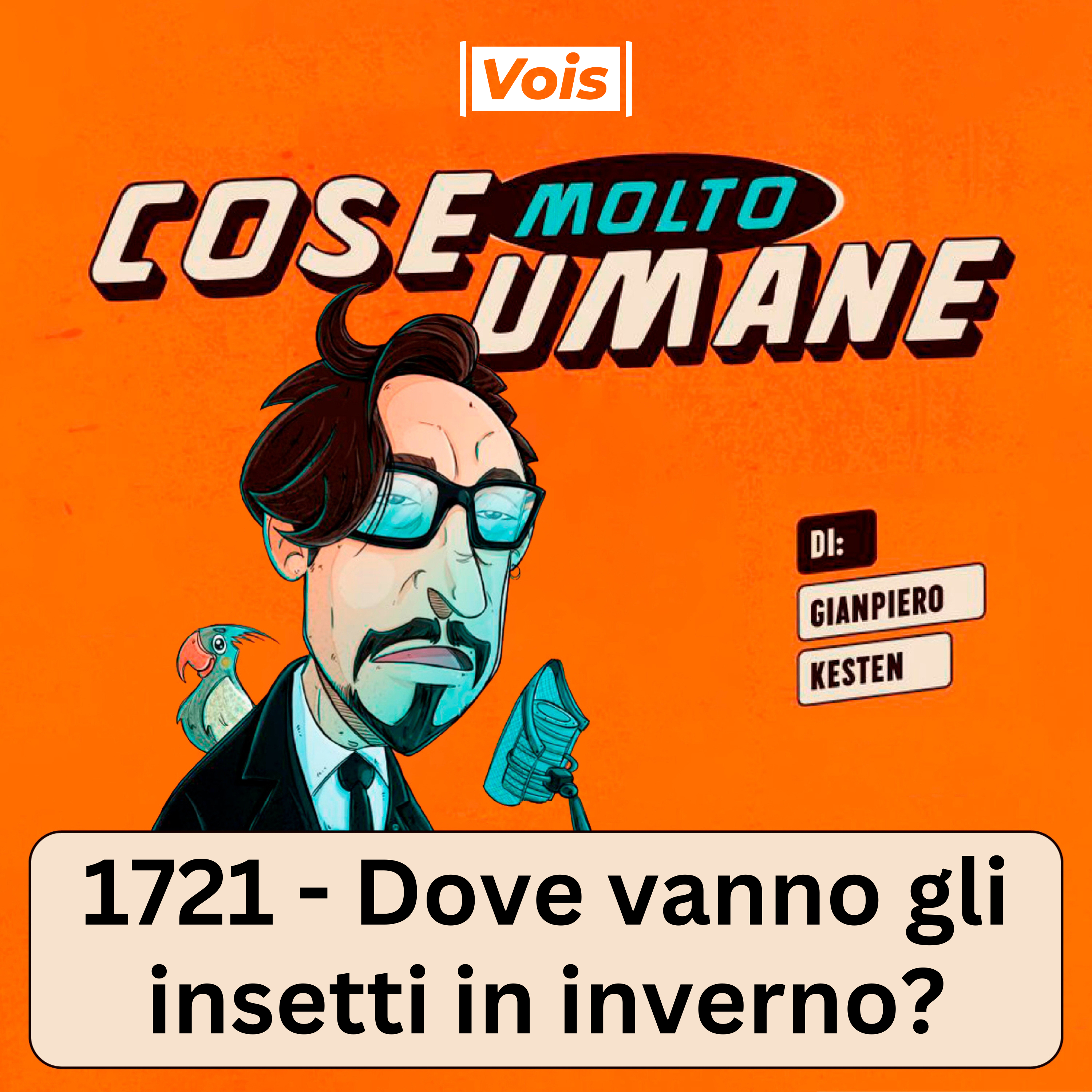 1721 - Dove vanno gli insetti in inverno?