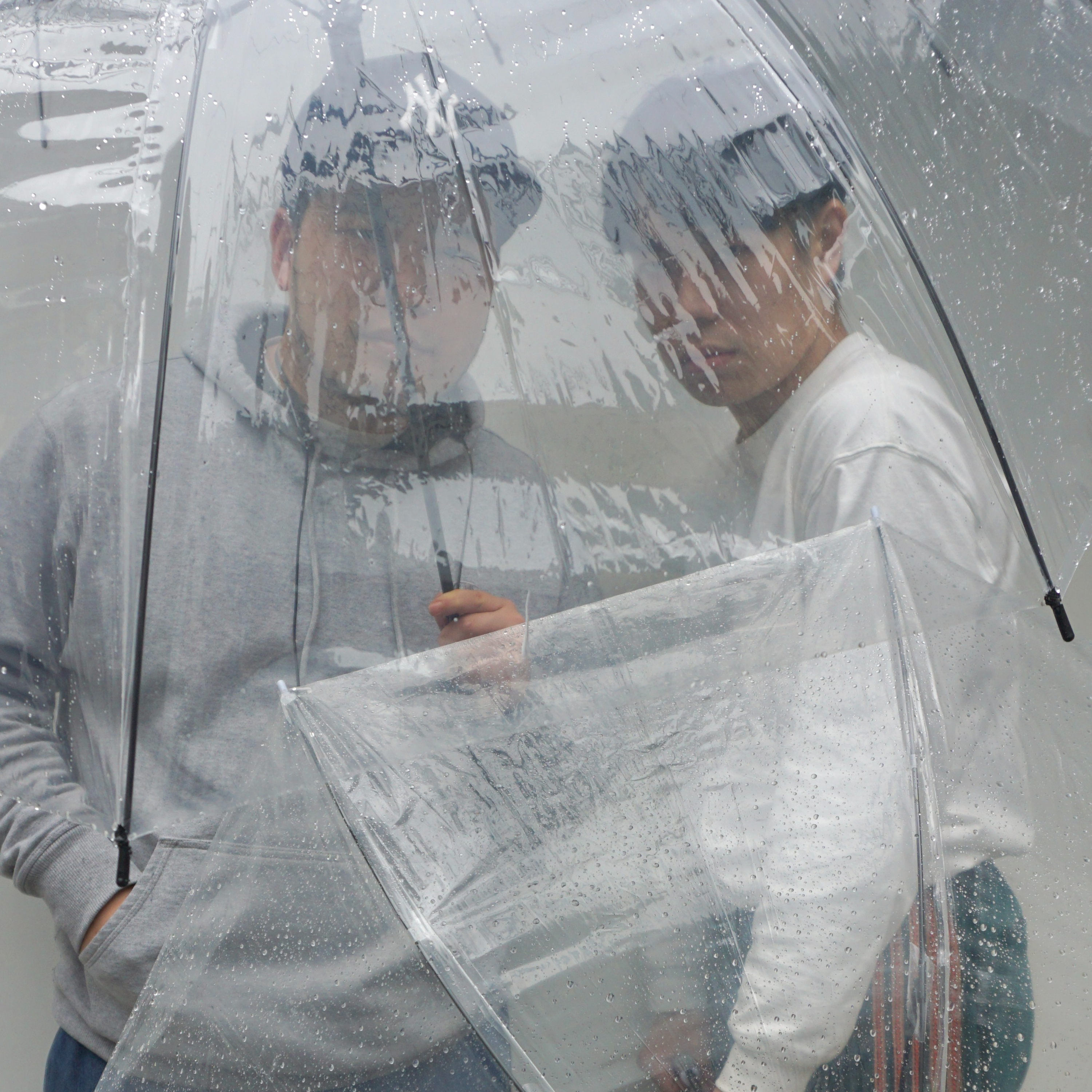 シーズン8-9「ごイ・アームストロング」