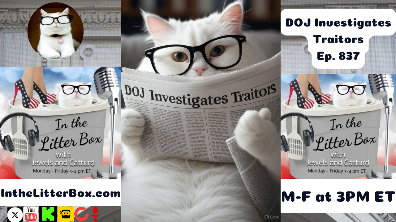 DOJ Investigates Traitors | In the Litter Box w/ Jewels & Catturd – Ep. 837 – 7/9/2025