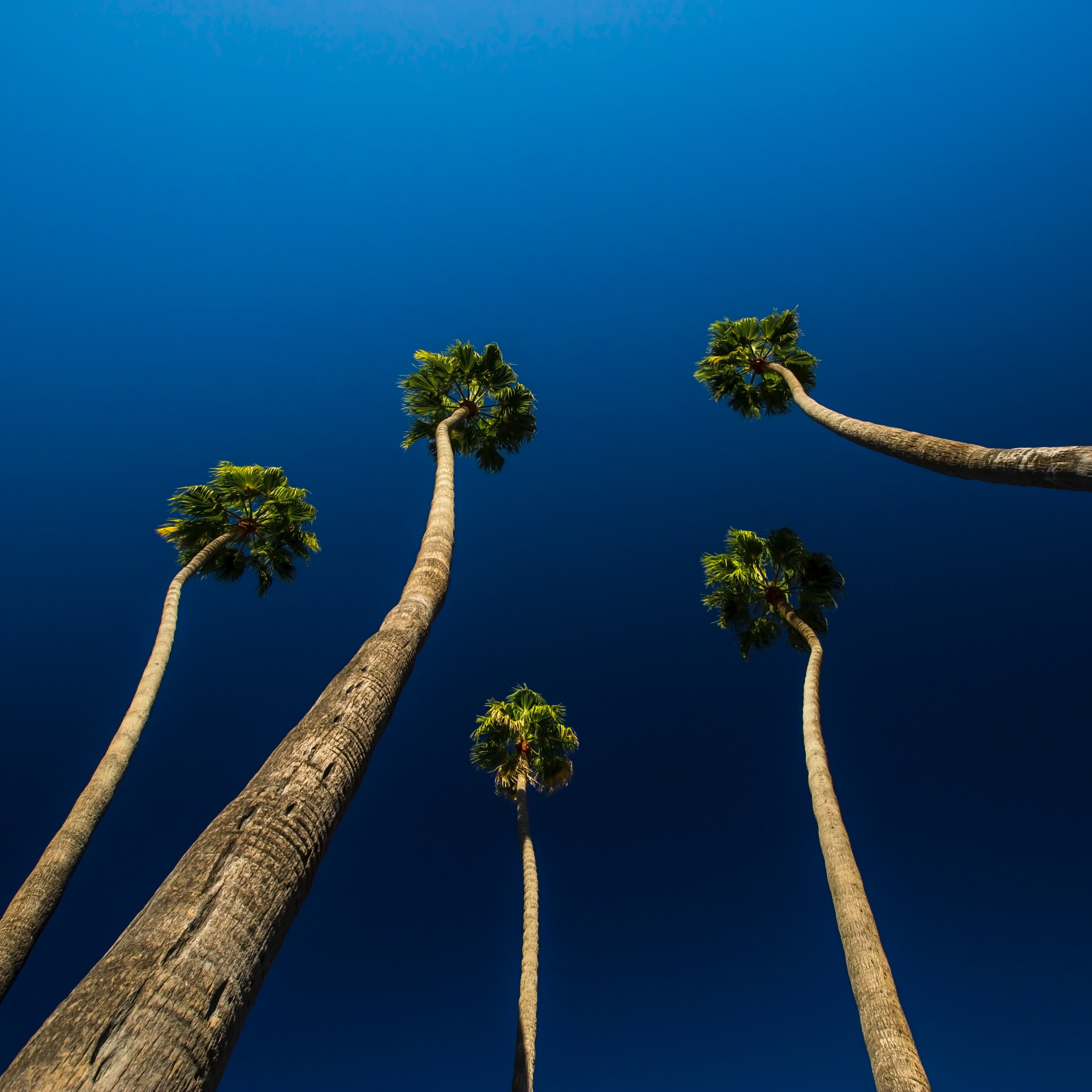 Trending In Ed with Mike Palmer