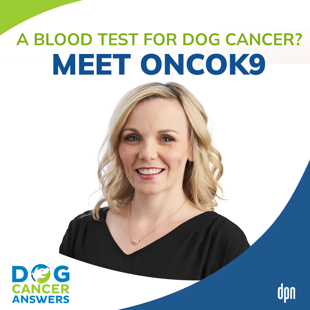 A Blood Test for Dog Cancer? Meet OncoK9 | Dr. Andi Flory #181