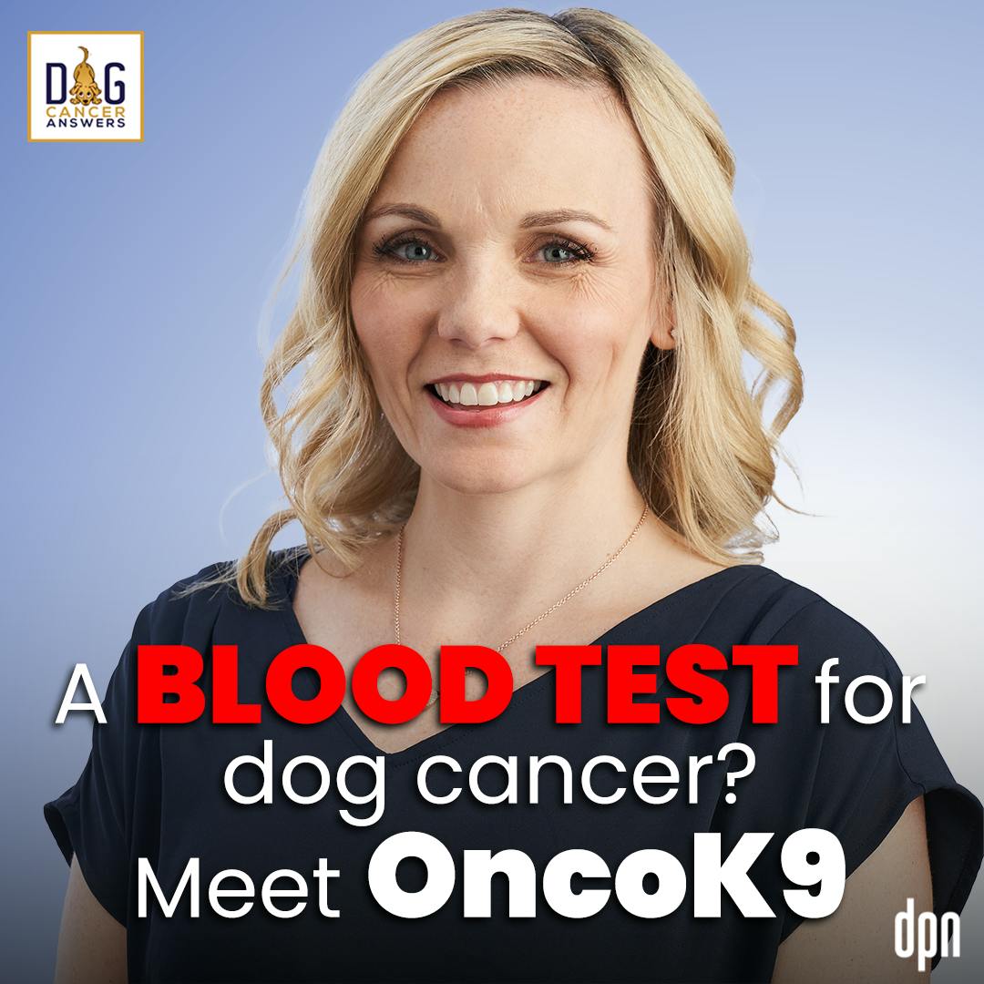 A Blood Test for Dog Cancer? Meet OncoK9 | Dr. Andi Flory #181