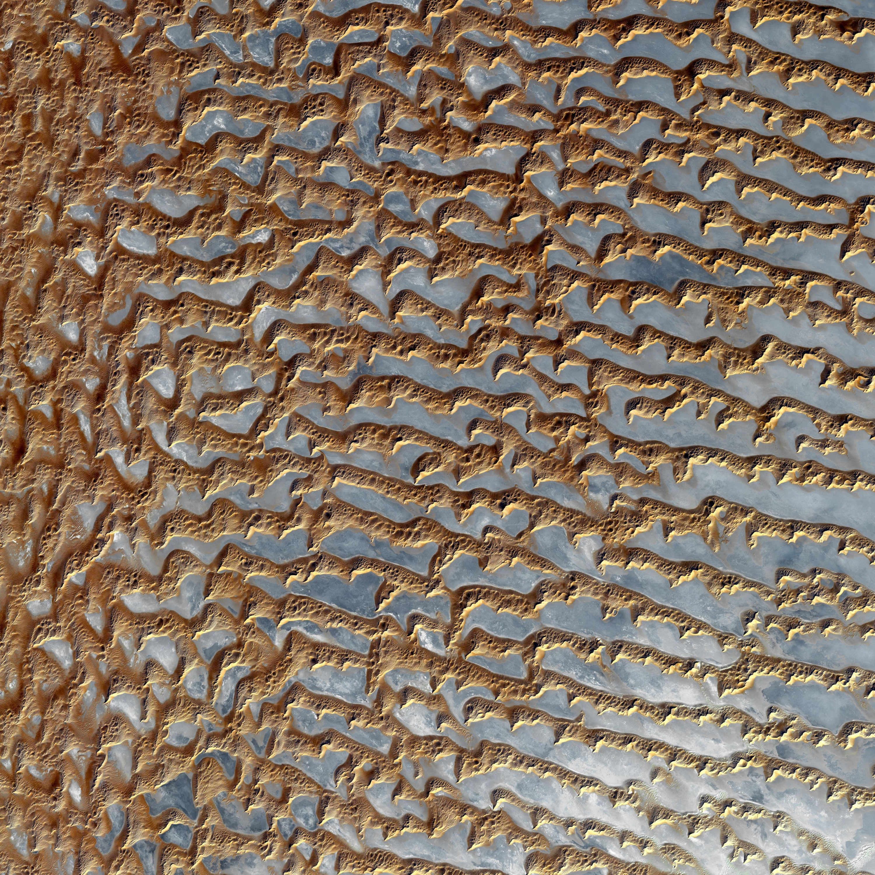 Sabkhas: The UAE’s Carbon Sinks