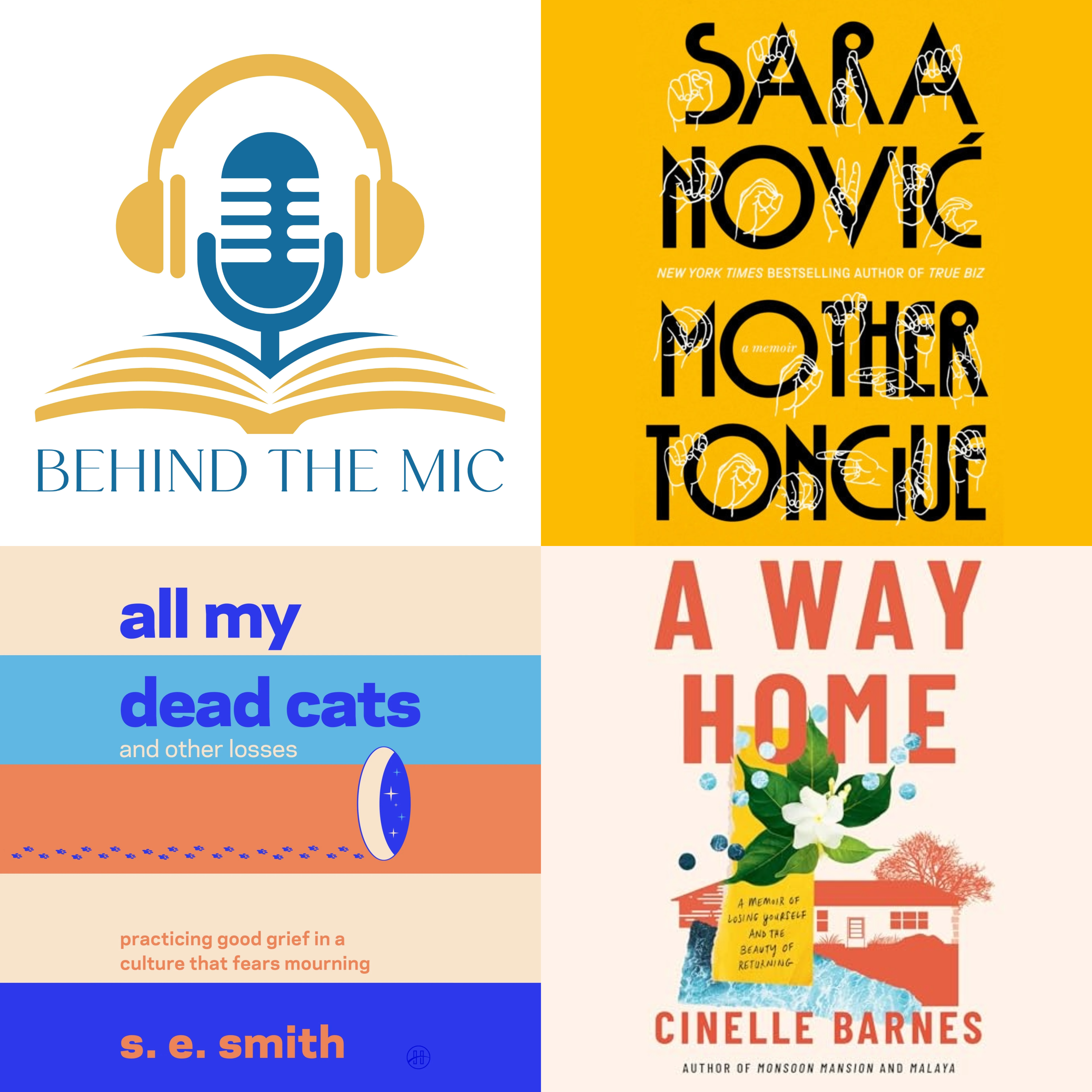 Disability in Three Voices episode artwork