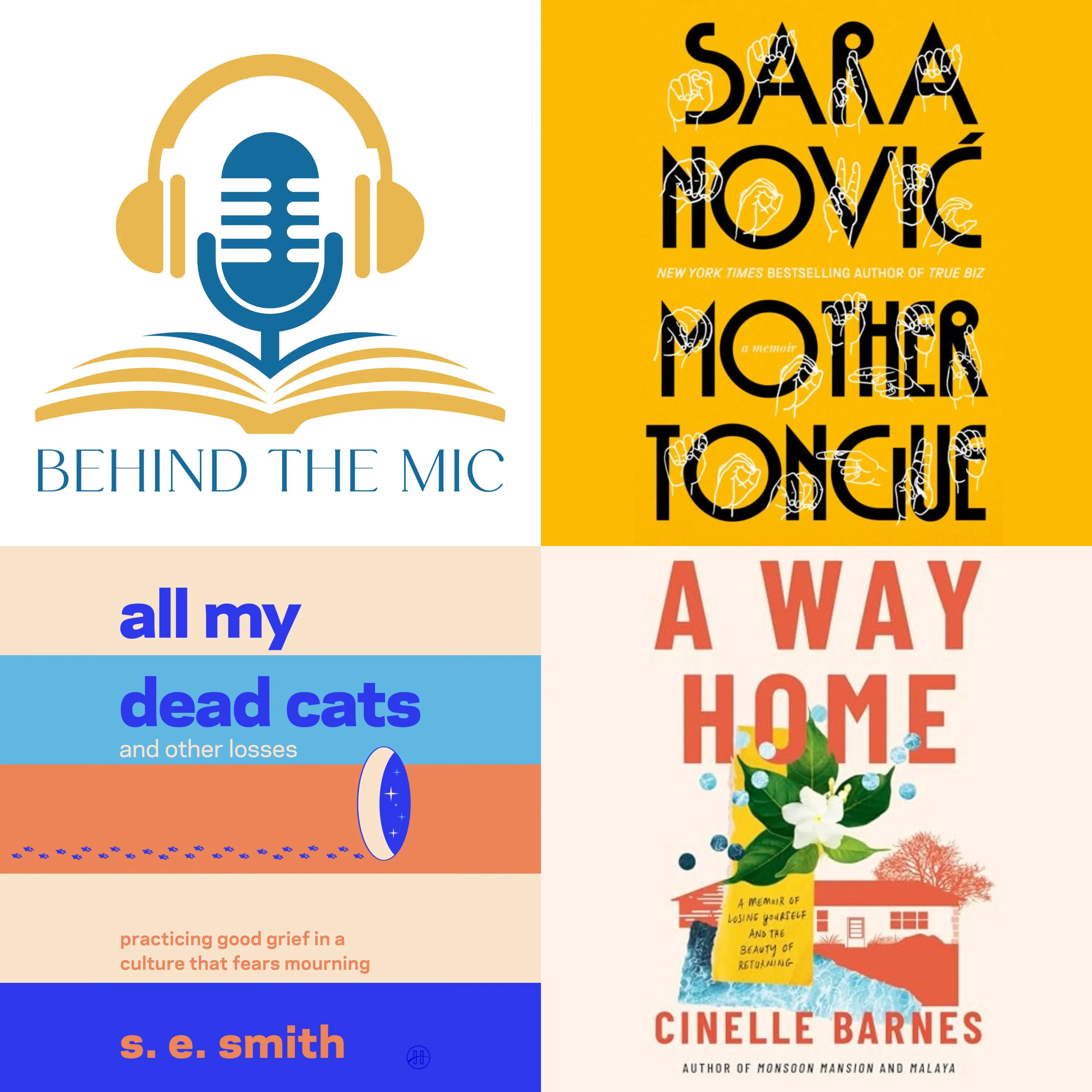 Disability in Three Voices episode artwork