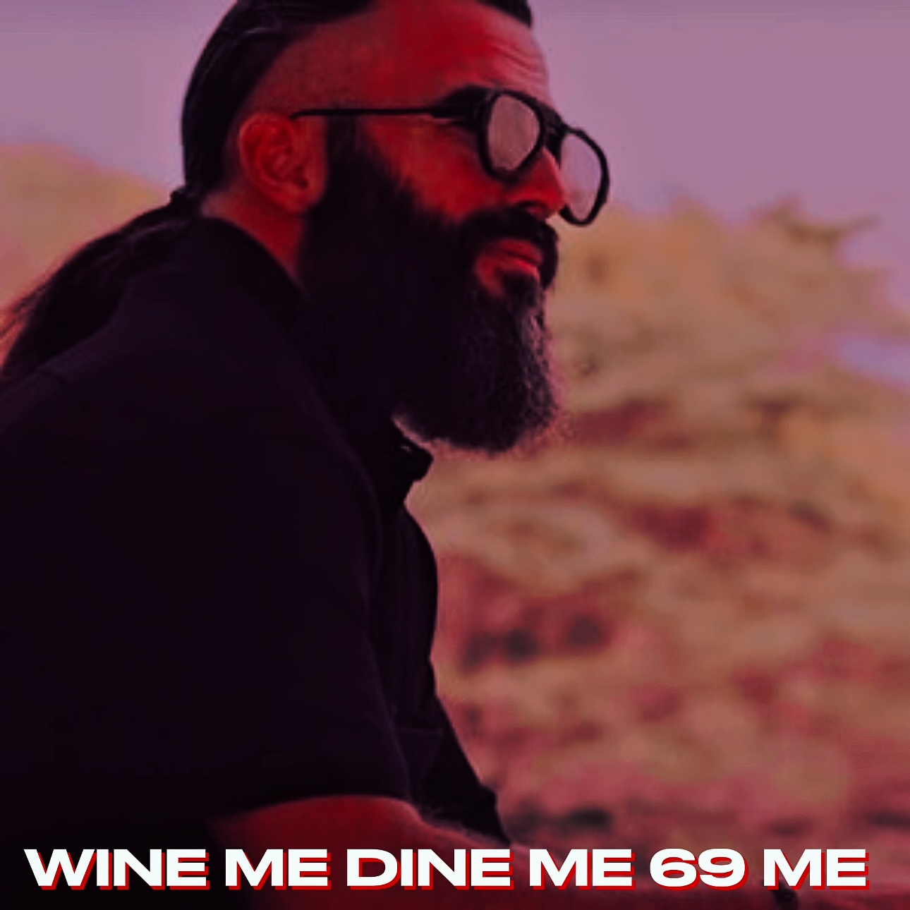 WINE ME DINE ME 69 ME (TikTok Song) episode artwork