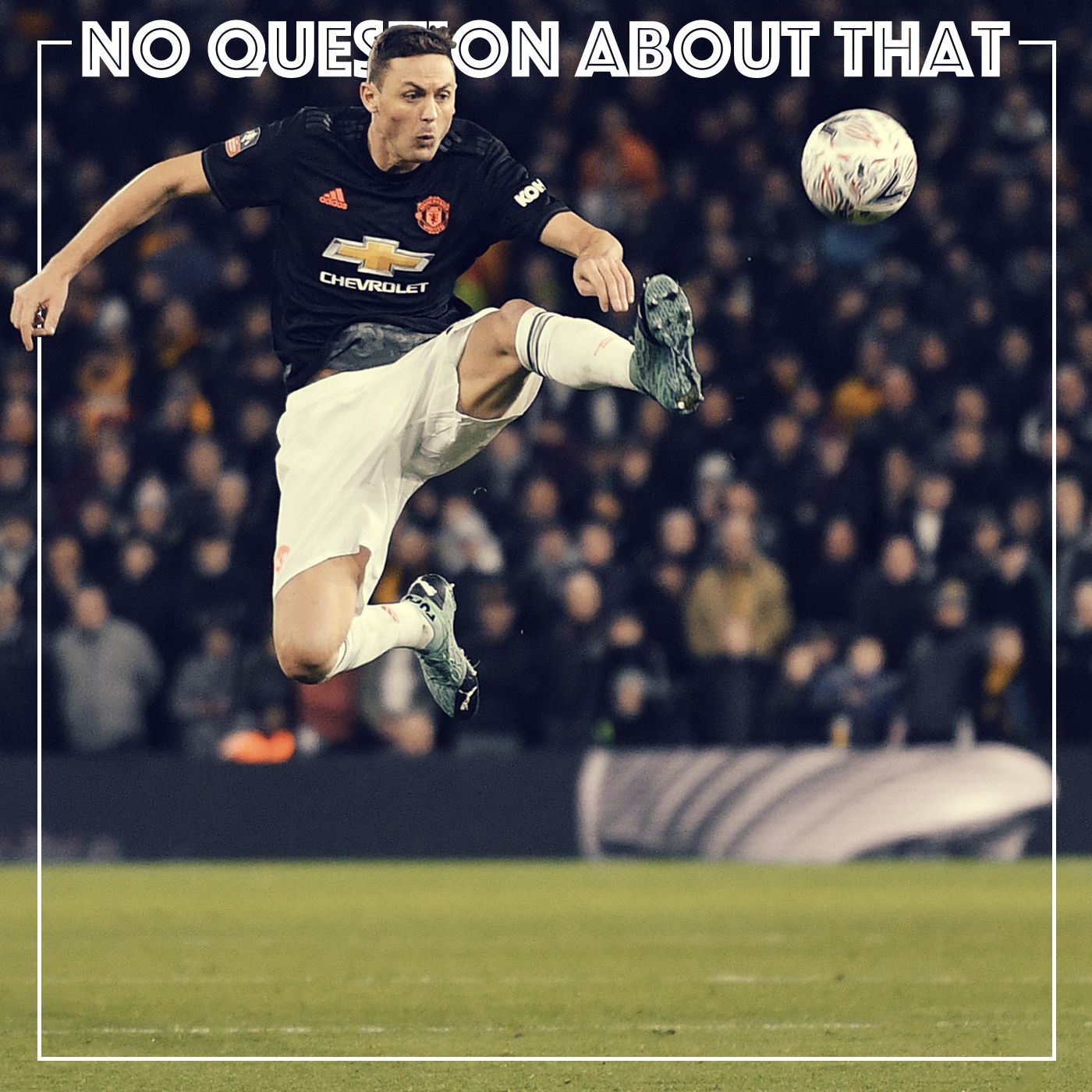 Keeping the Wolves at Bay