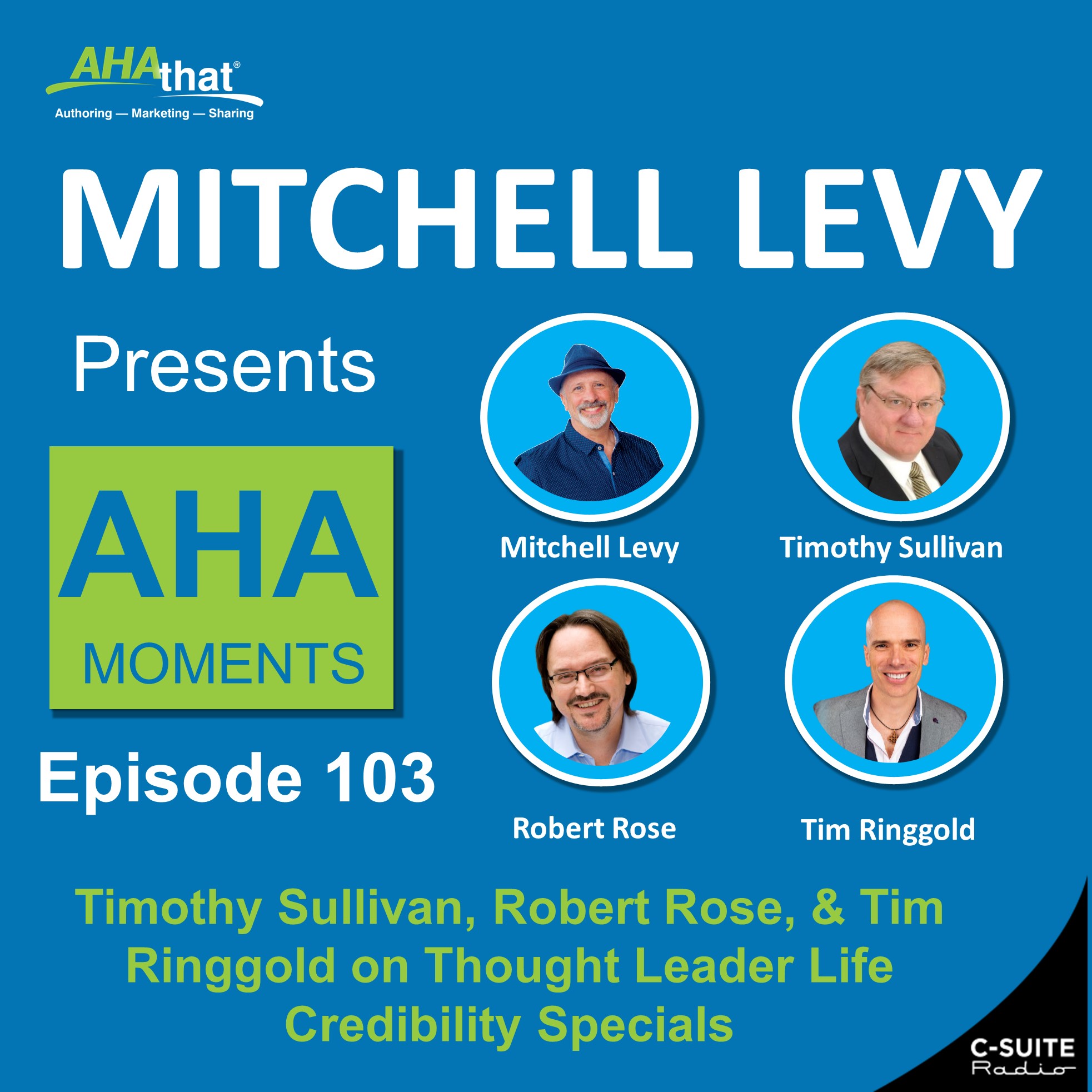 Mitchell Levy Presents AHA Moments