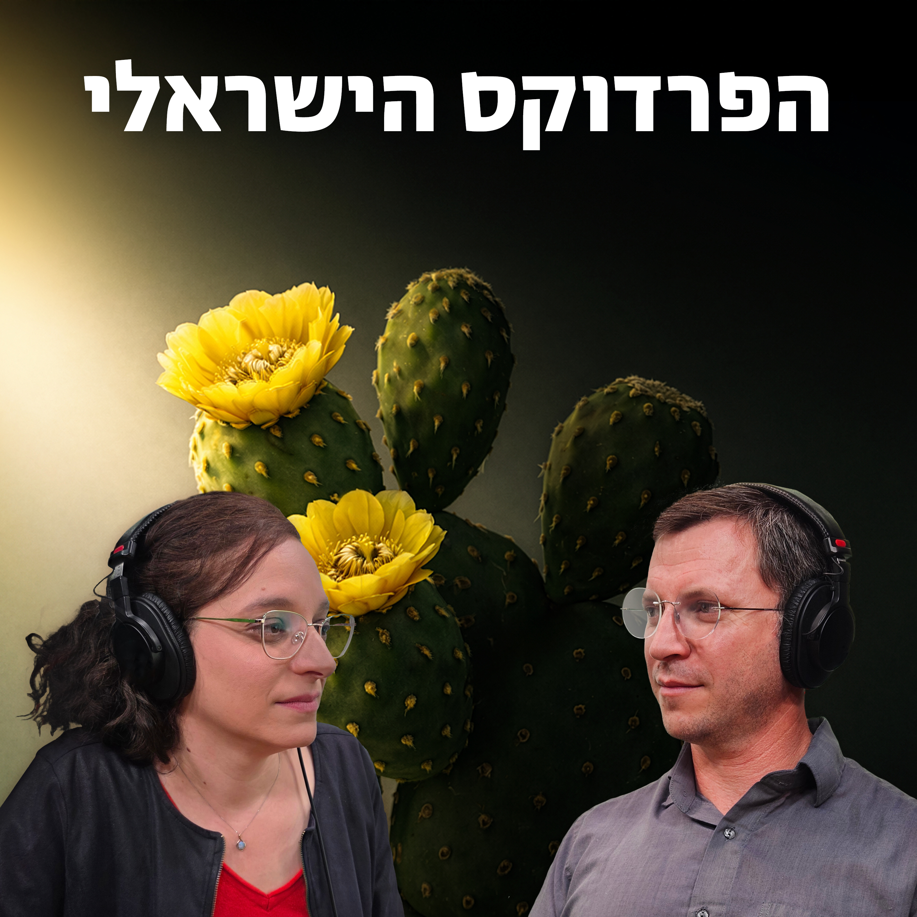 הפרדוקס הישראלי