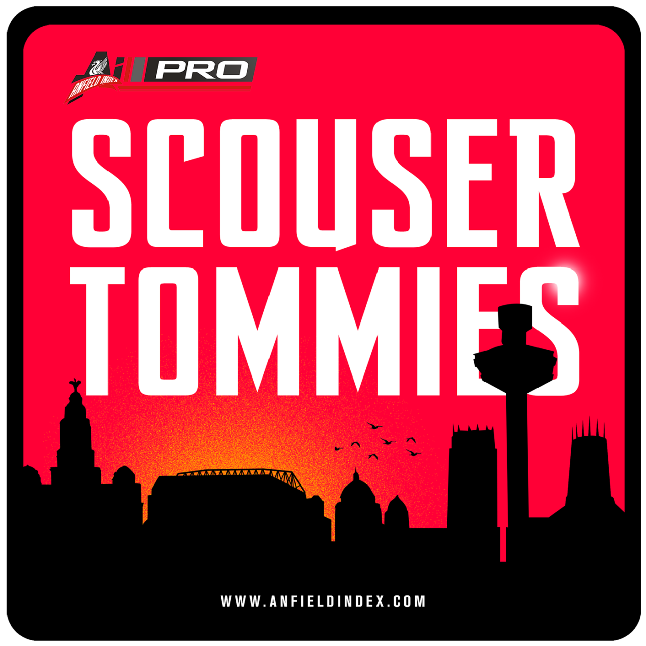 Scouser Tommies: MIDFIELD BUG