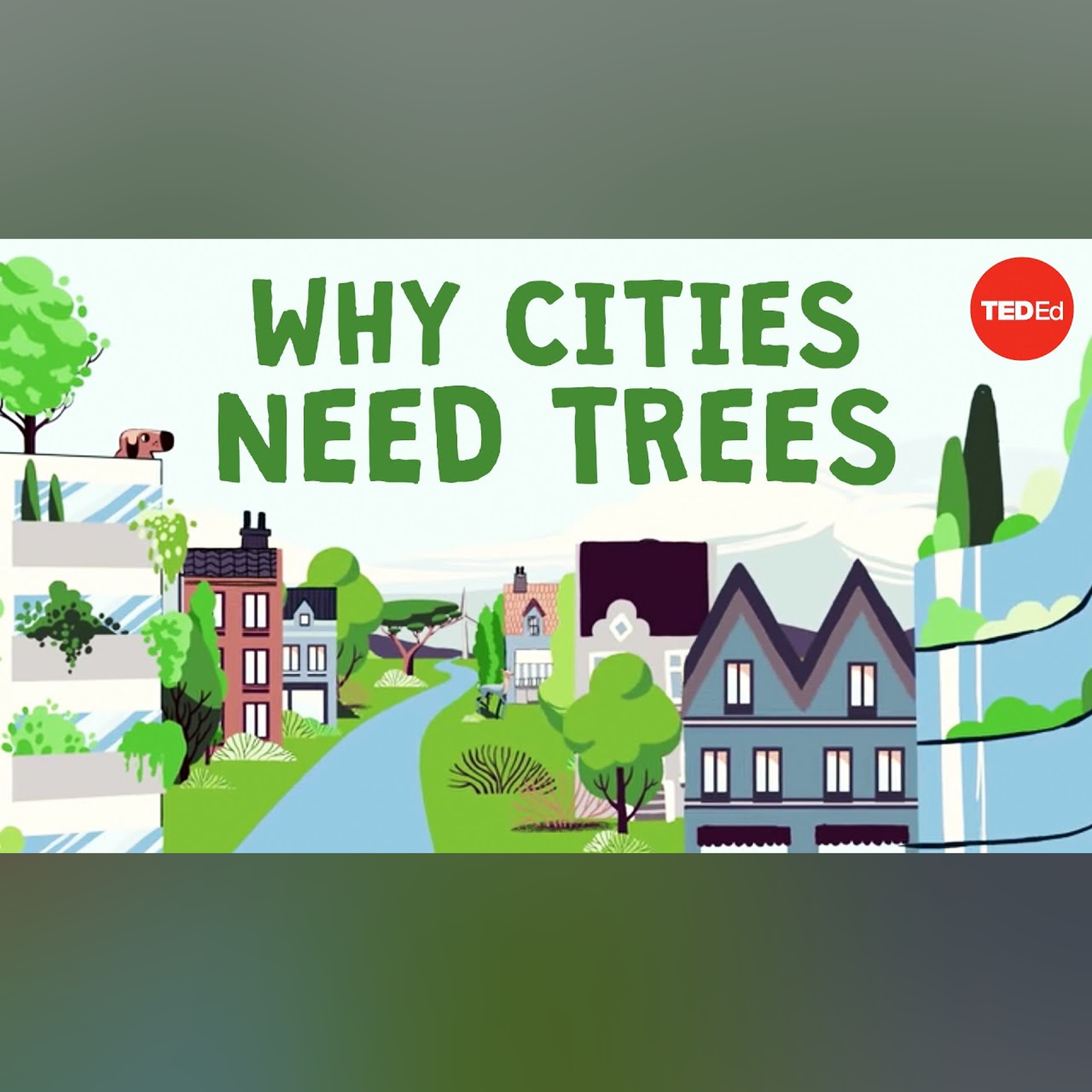 What happens if you cut down all of a city's trees? - Stefan Al episode artwork