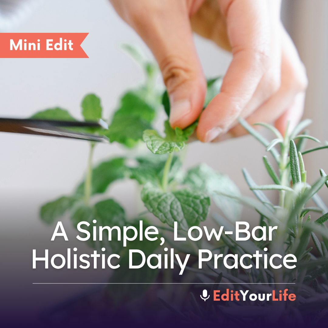 Mini Edit: A Simple, Low-Bar Holistic Daily Practice episode artwork