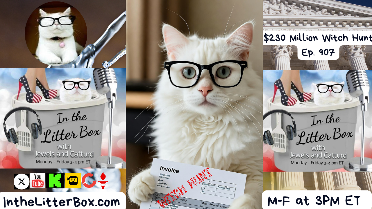 $230 Million Dollar Witch Hunt | In the Litter Box w/ Jewels & Catturd – Ep. 907 – 10/22/2025
