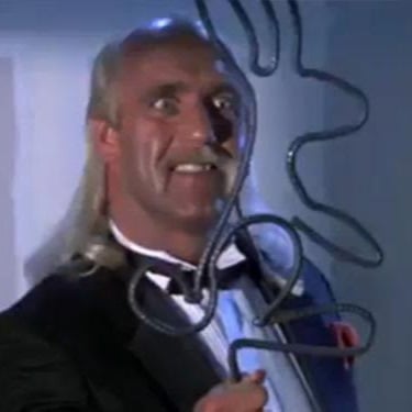 Suburban Commando (1991)