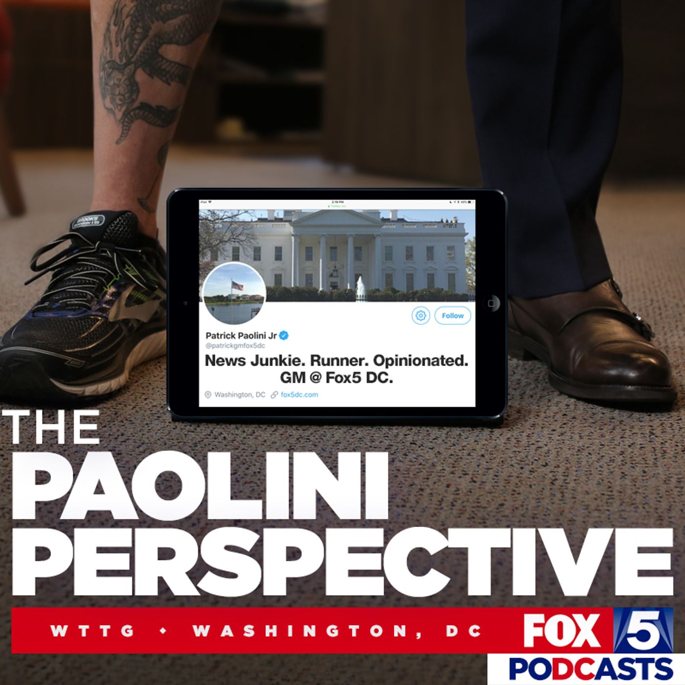 The Paolini Perspective