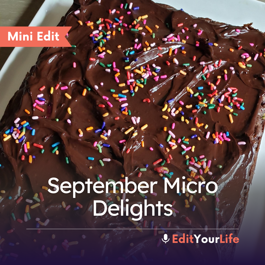 Mini Edit: September Micro Delights episode artwork