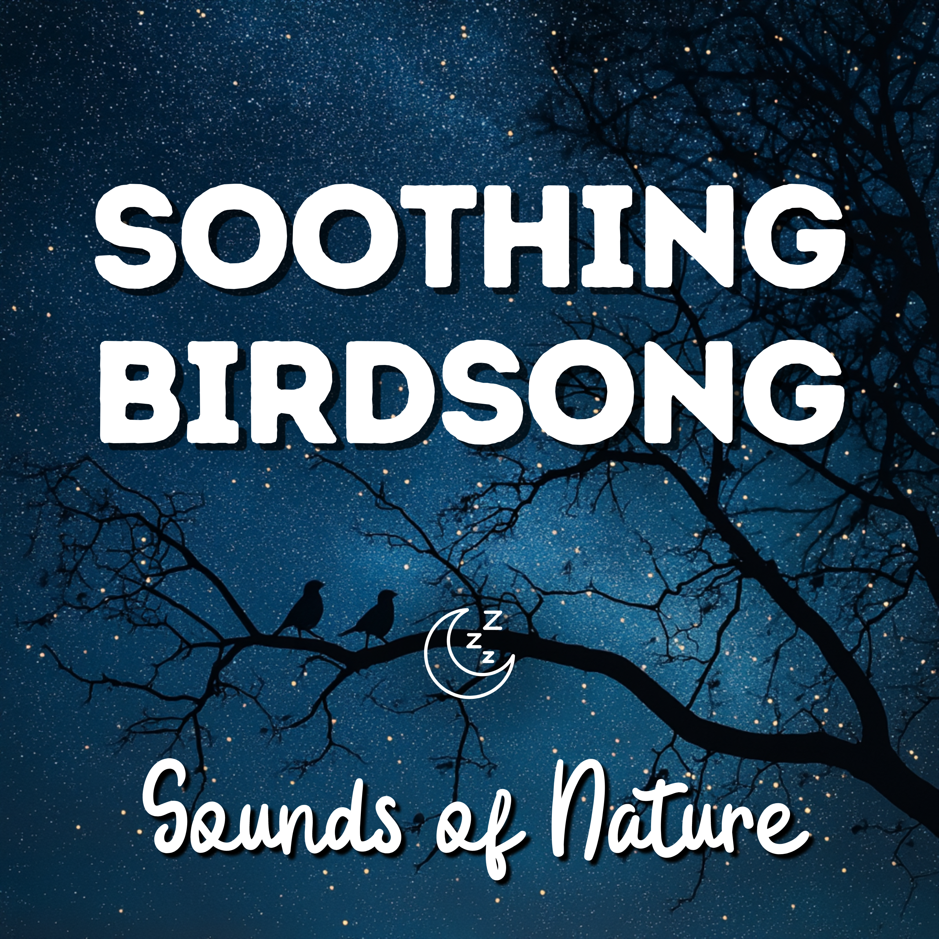 Soothing Sounds of Nature - Birdsong