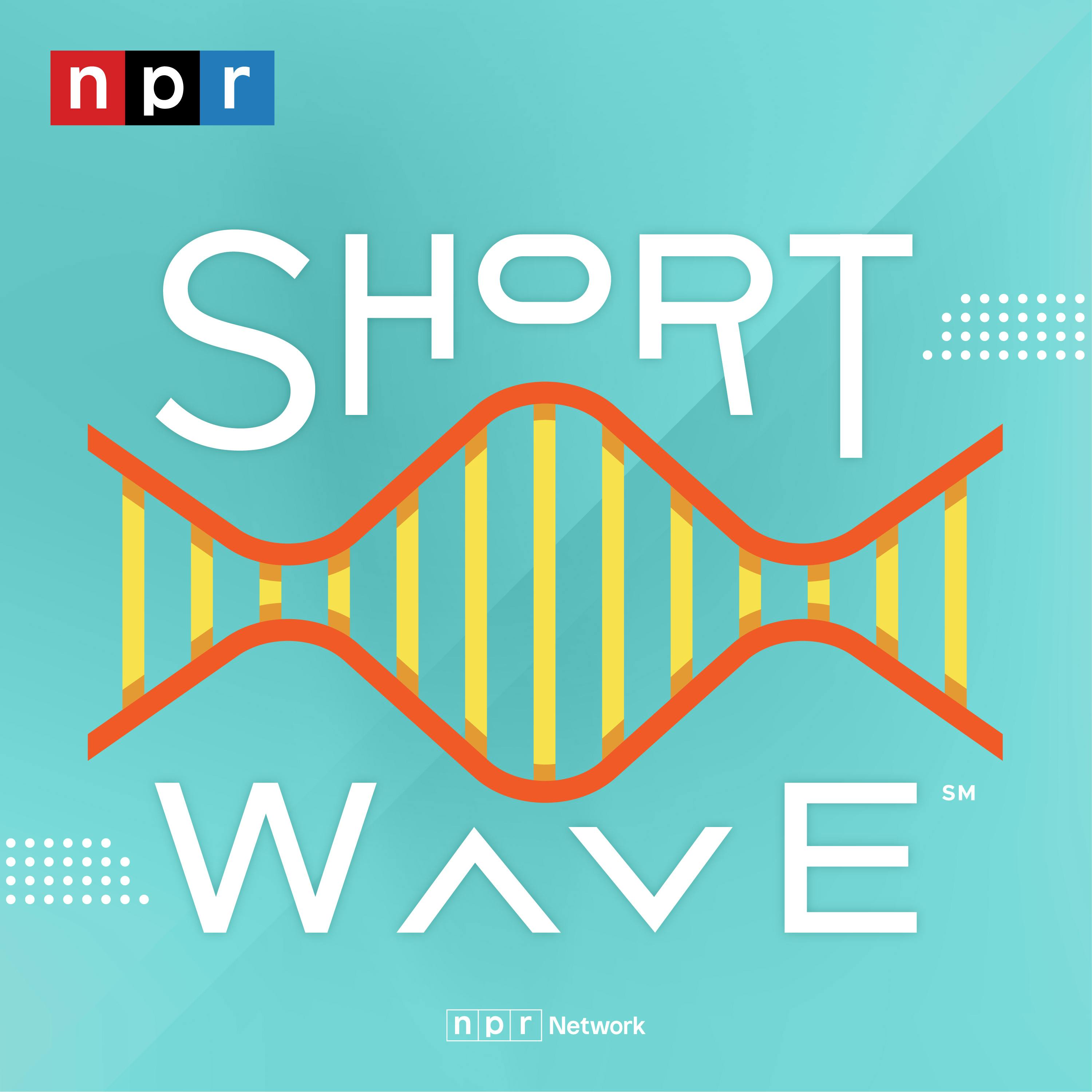 Stress ages us on a cellular level Stress ages us on a cellular level