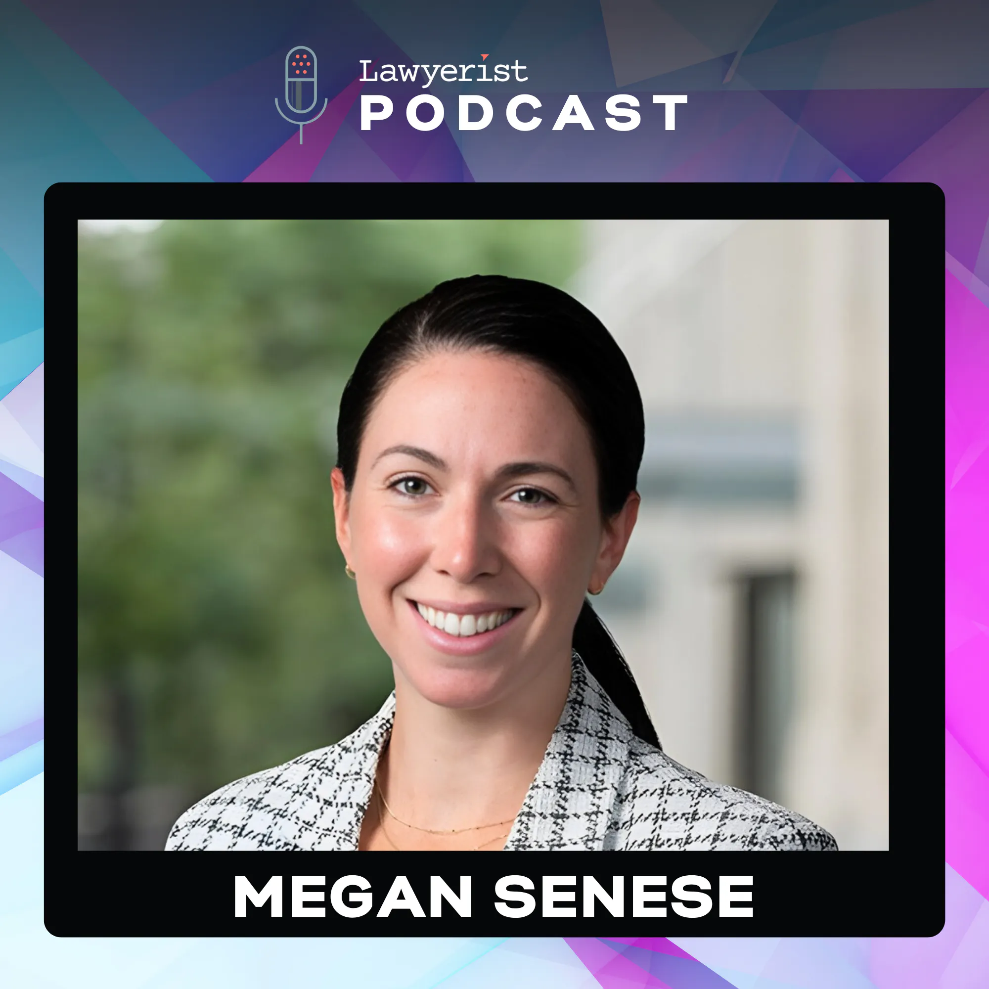 Business Development forLawyers: Building Real Relationships That Lead to Clients, with Megan Senese Business Development forLawyers: Building Real Relationships That Lead to Clients, with Megan Senese