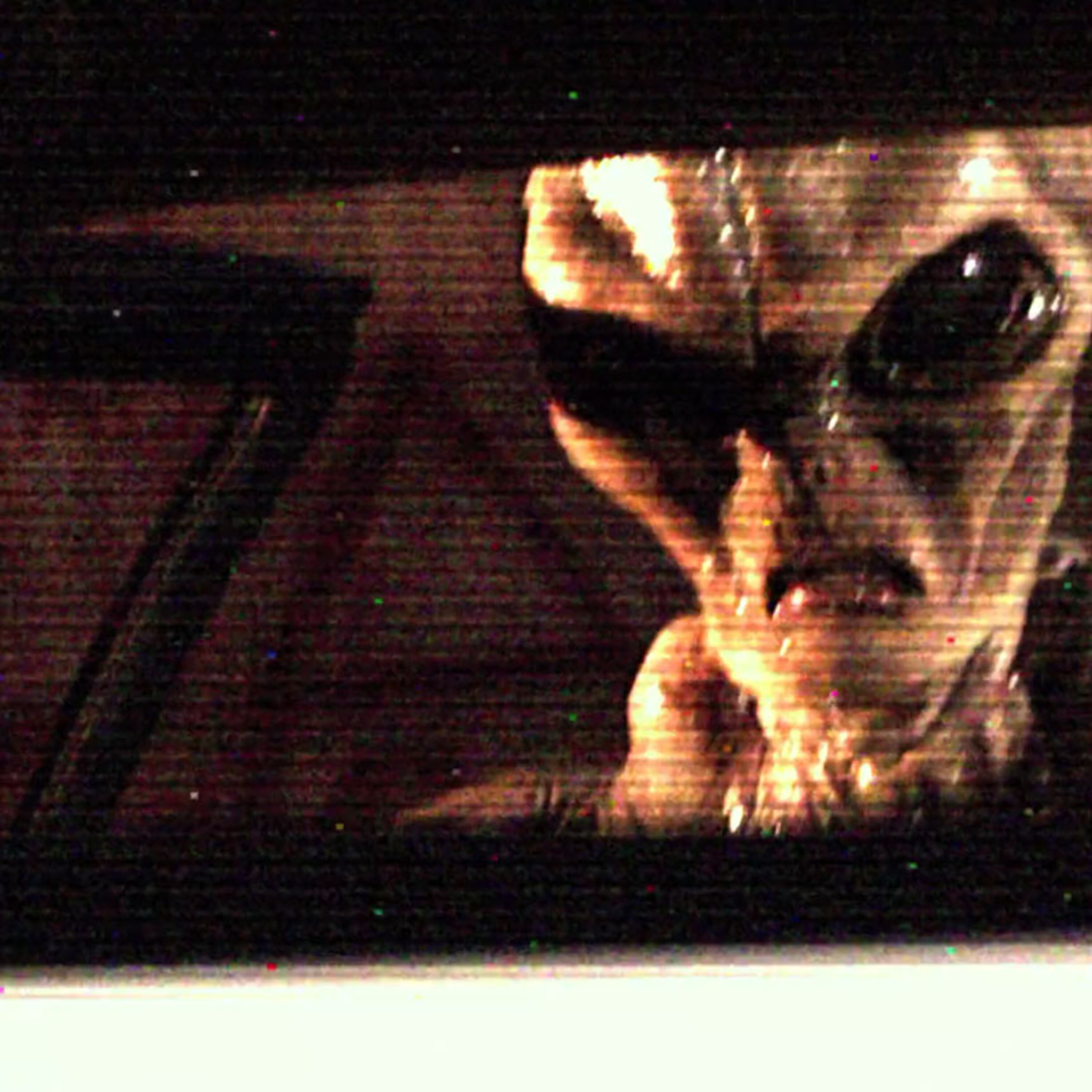 The Alien Abductions of Dave Scott