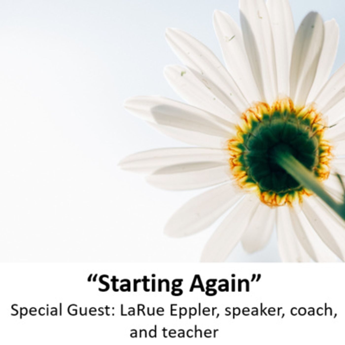 Ep. 50 - Time to Come Alive: "Starting Over" with special guest: LaRue Eppler, transformational speaker and coach episode artwork