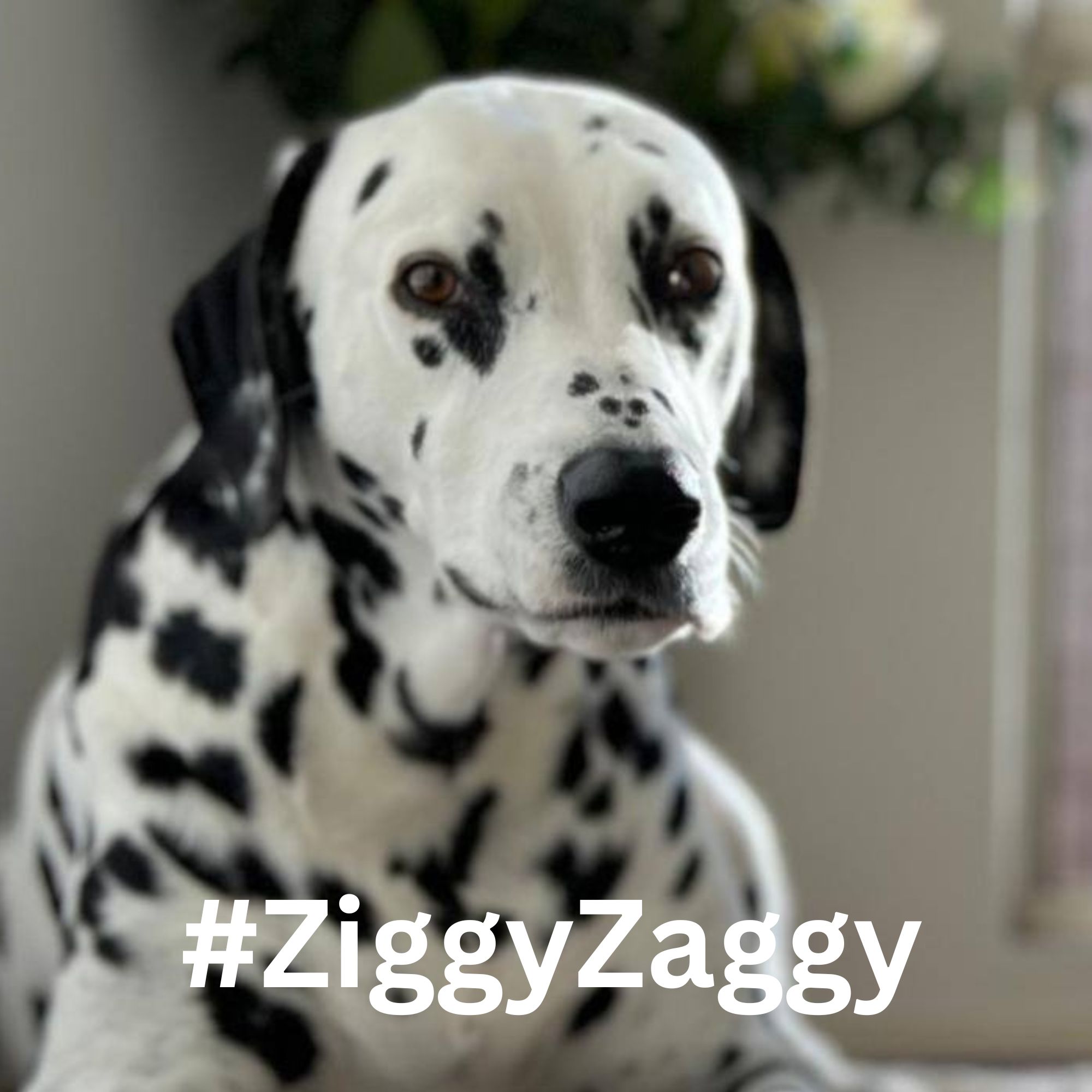 Two Blokes Talking Tech