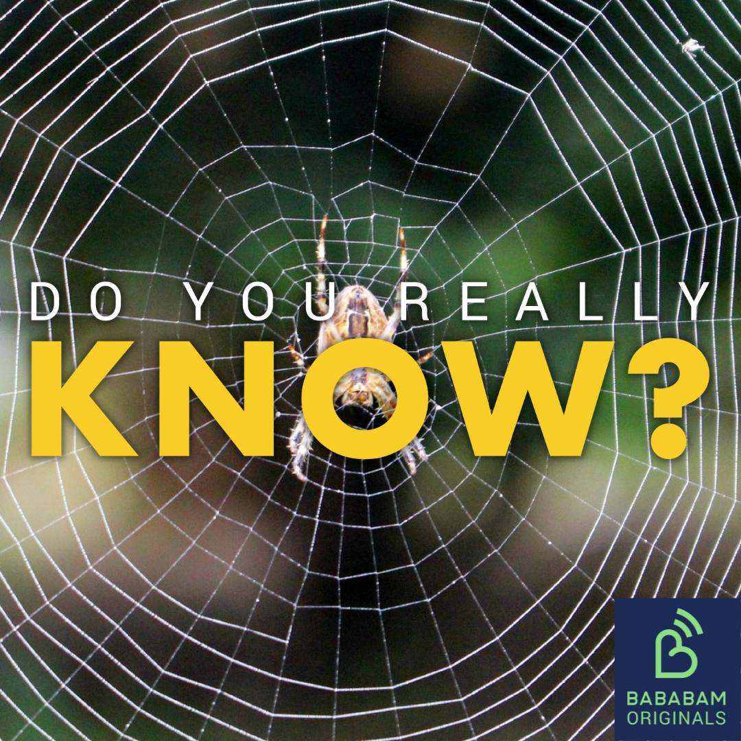 Can I cure my fear of spiders?