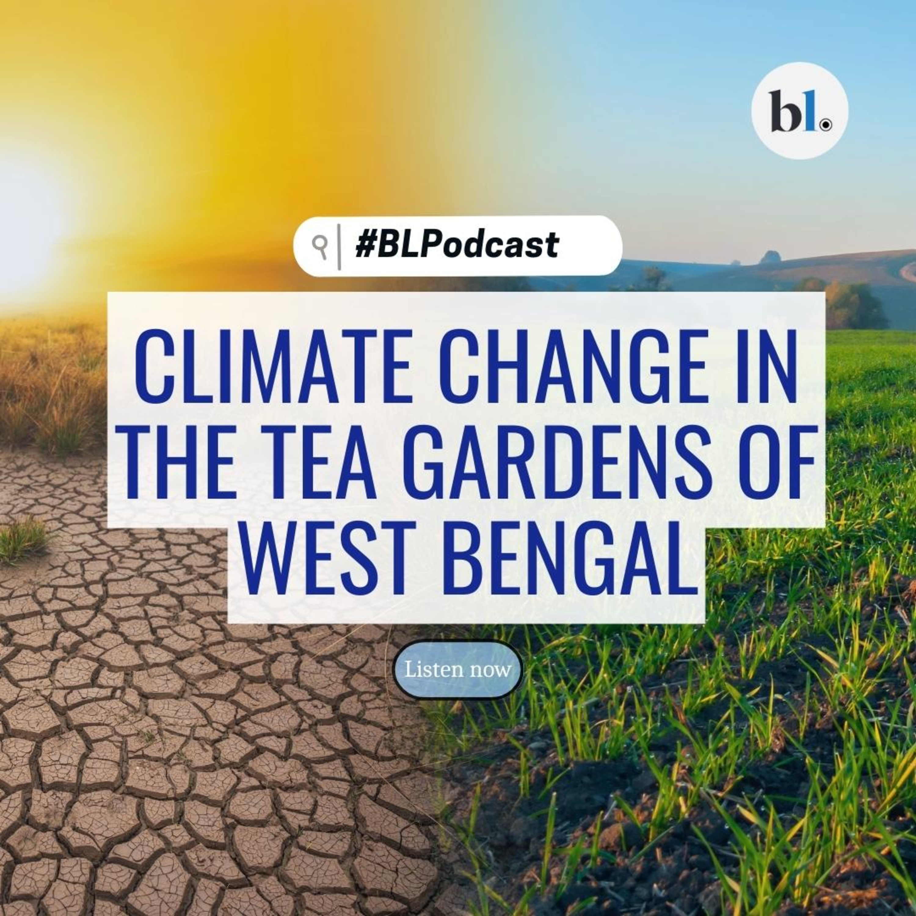 BusinessLine Podcasts