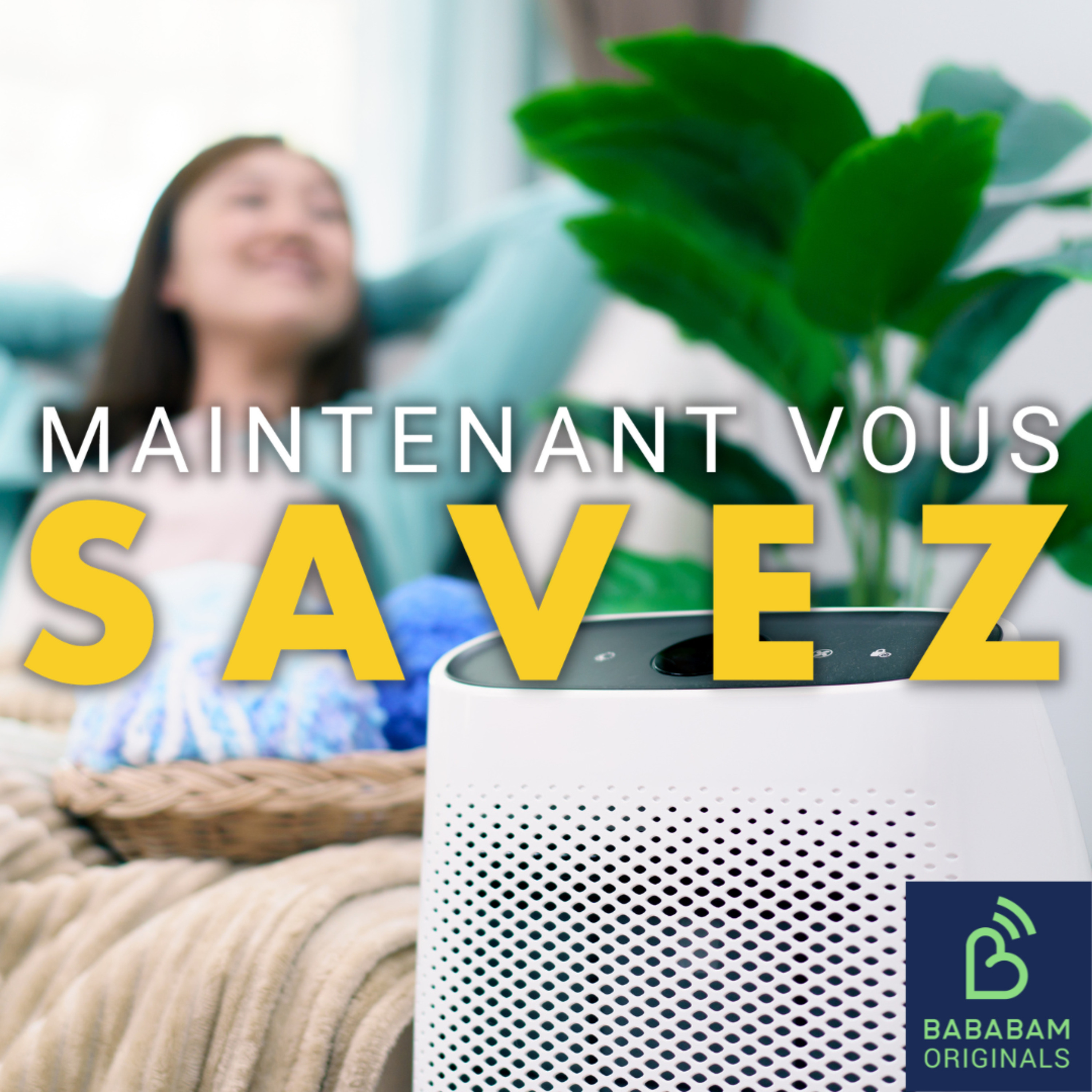 Comment améliorer l’air de son logement ? 