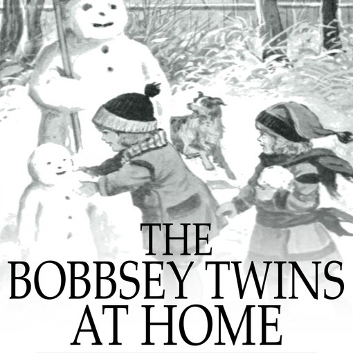 The Bobbsey Twins at Home by Laura Lee Hope ~ Full Audiobook