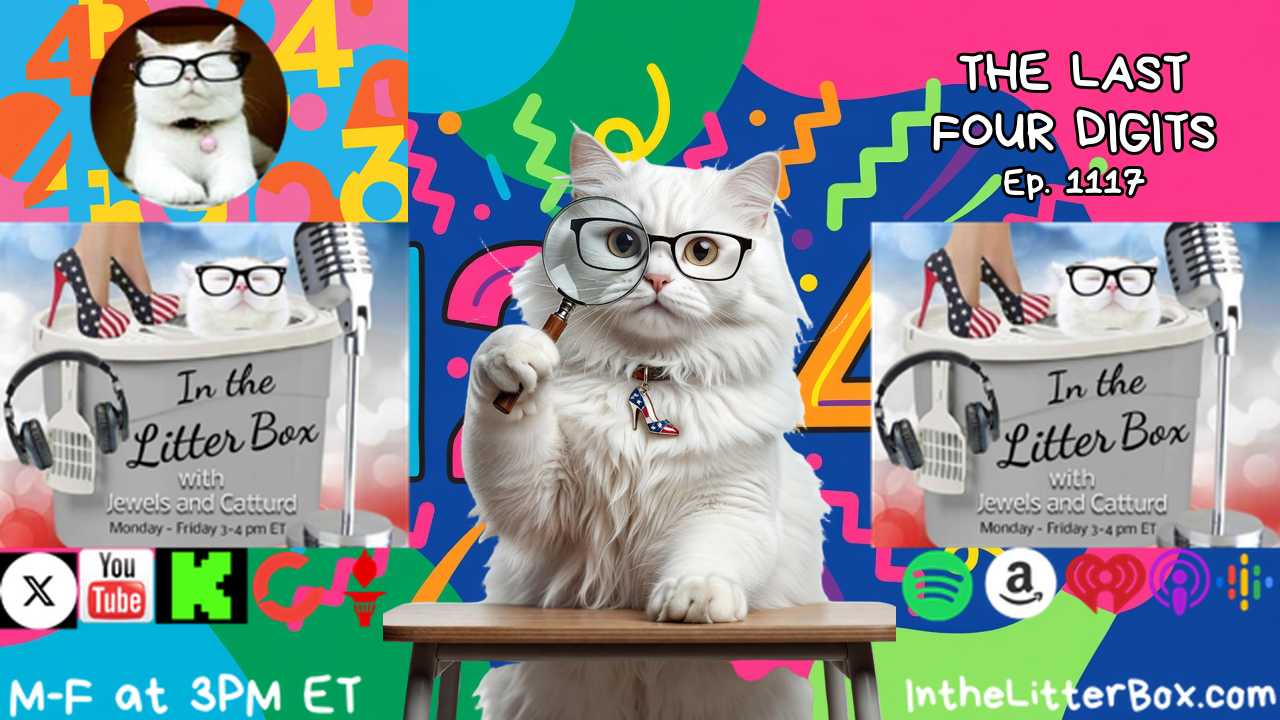 THE LAST FOUR DIGITS | In the Litter Box w/ Jewels & Catturd – Ep. 1117 – 10/16/2026 episode artwork
