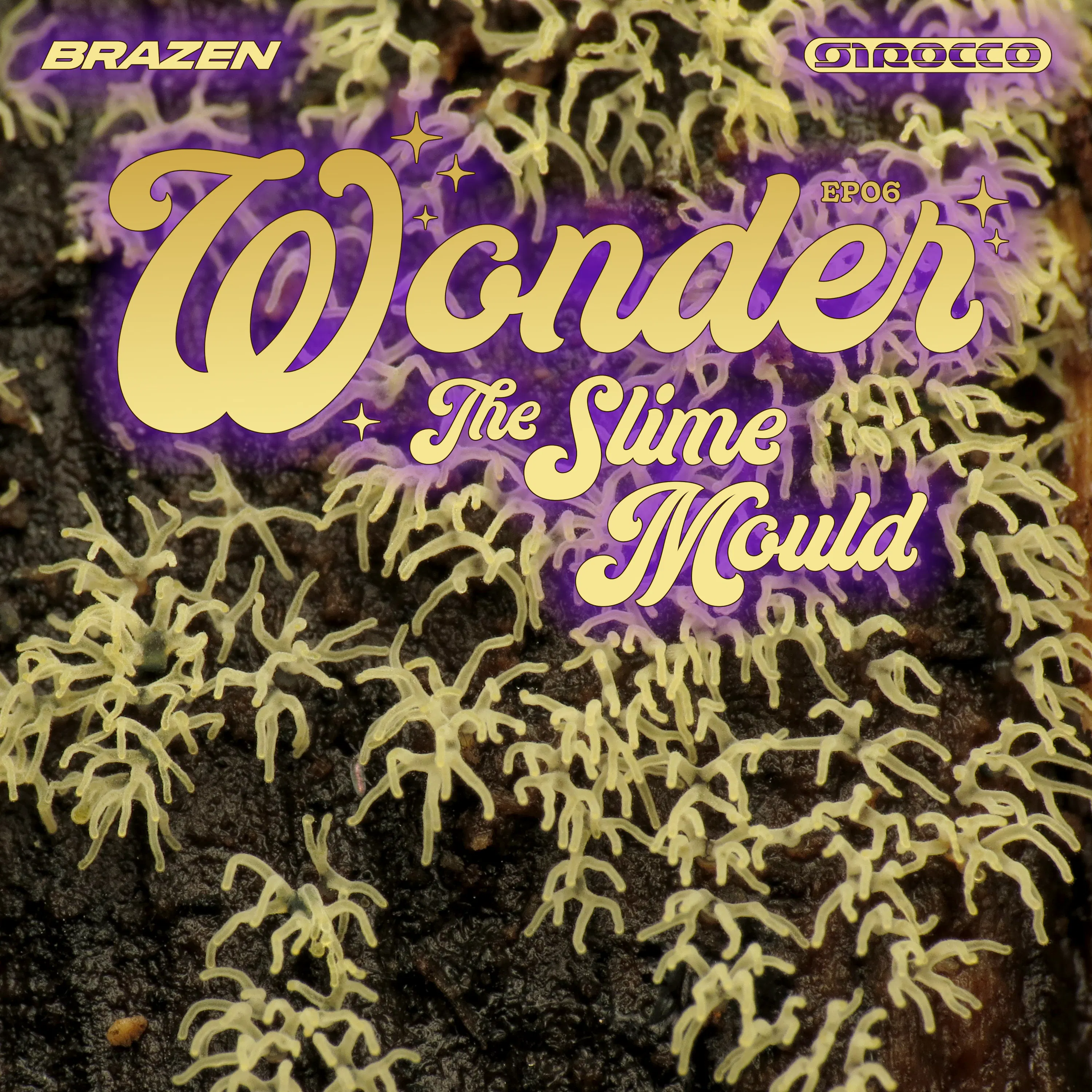 The Slime Mould episode artwork