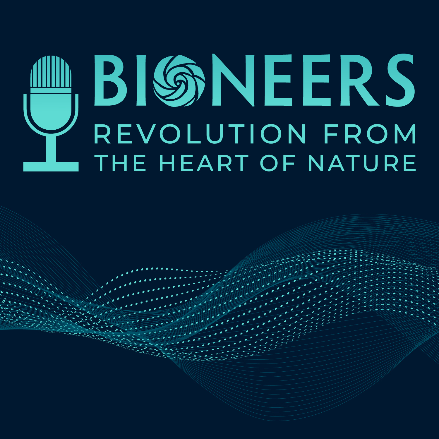 Wounds To Warriors: In the Wound Lies the Gift - Aqeela Sherrills, Ed Tick, and Eve Ensler | Bioneers Radio Series IX (2009)
