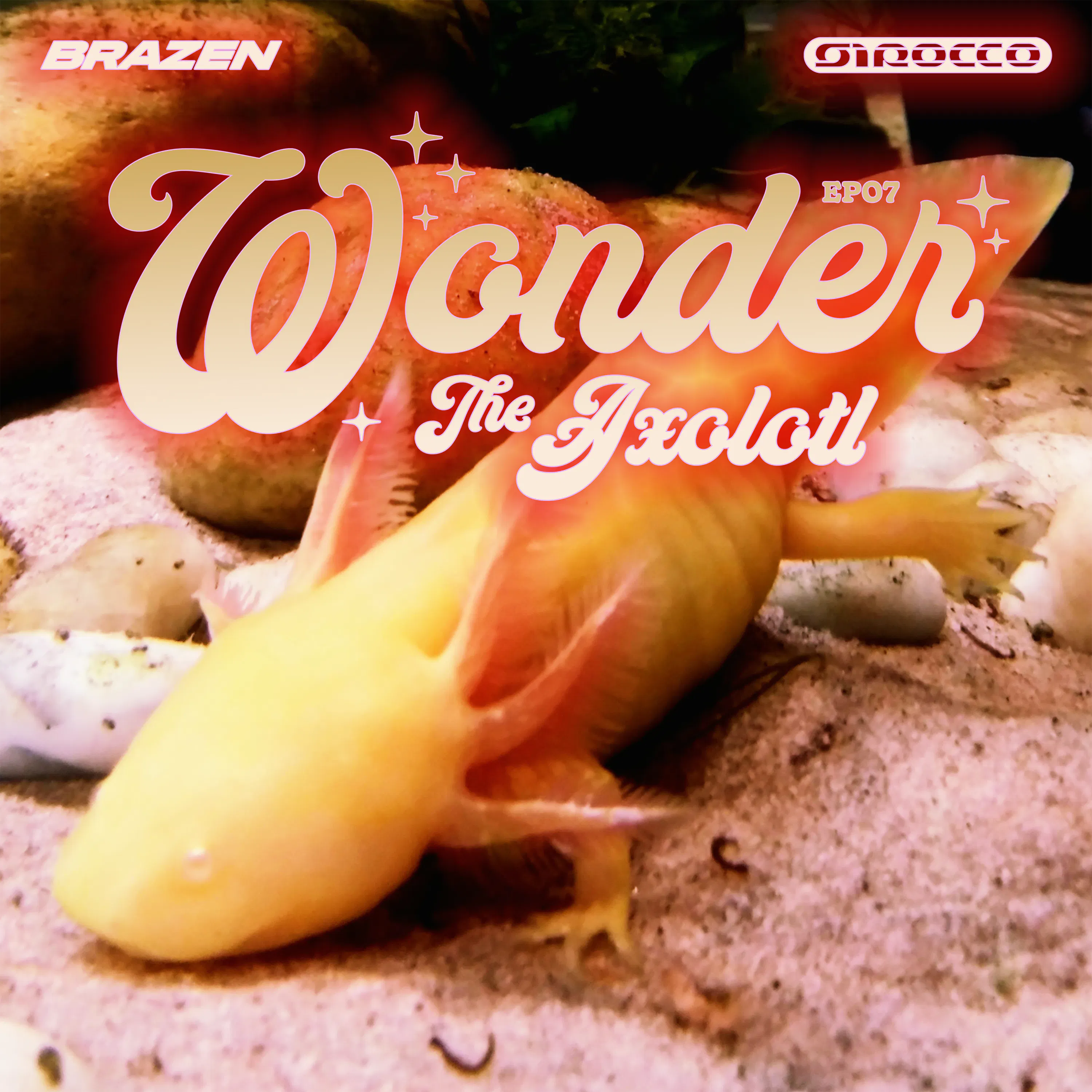 The Axolotl episode artwork