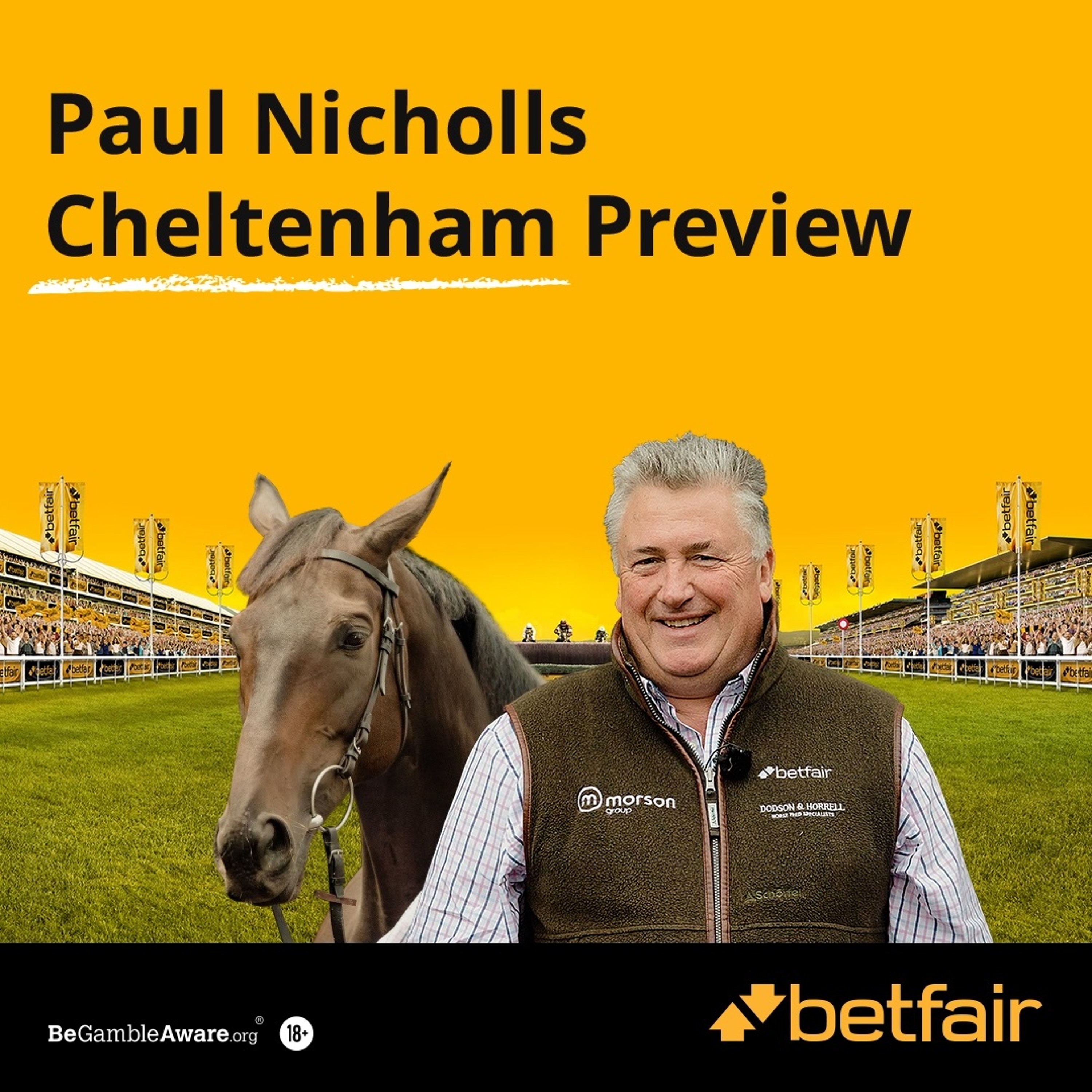 Paul Nicholls Cheltenham Preview