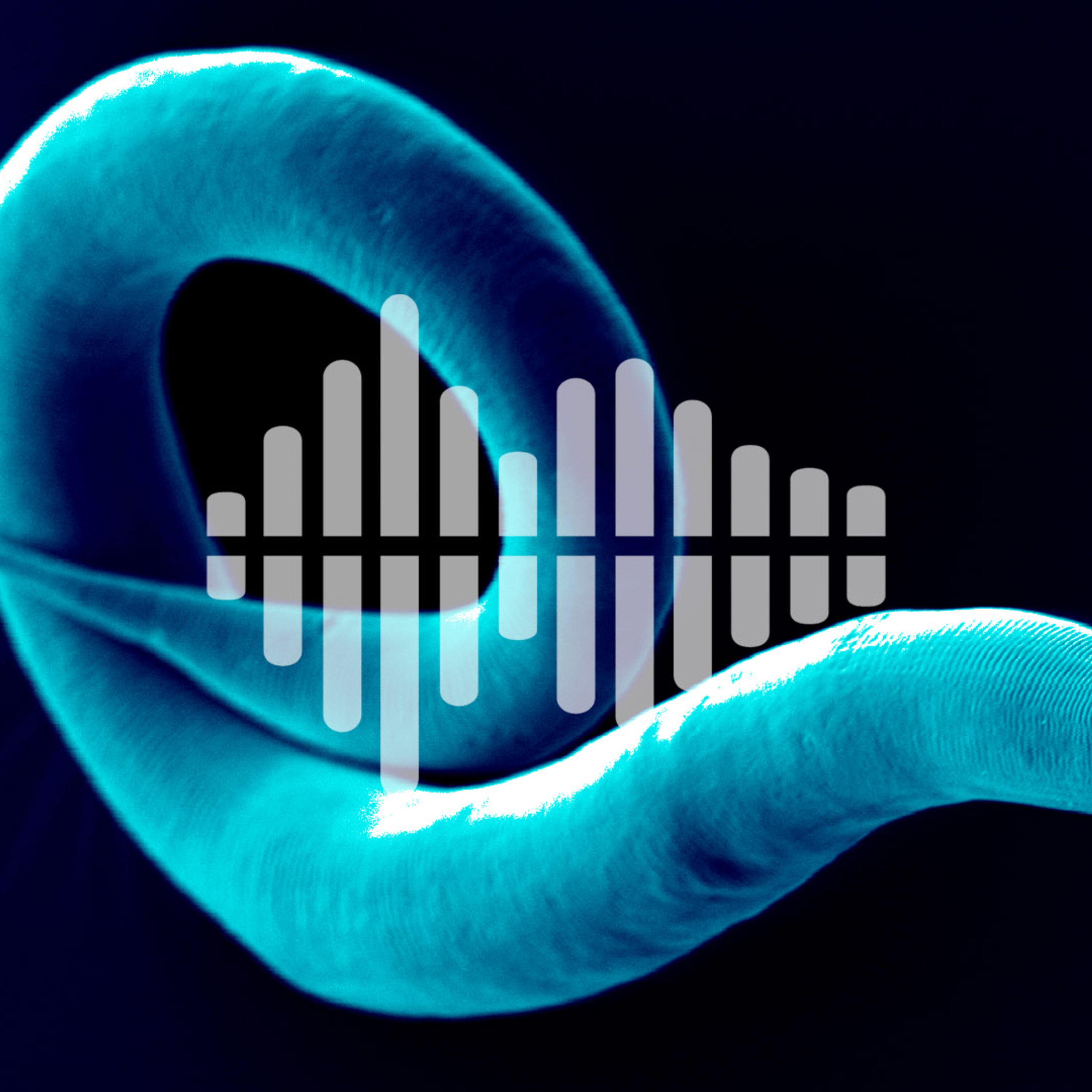 The world’s oldest pet cemetery, and how eyeless worms can see color