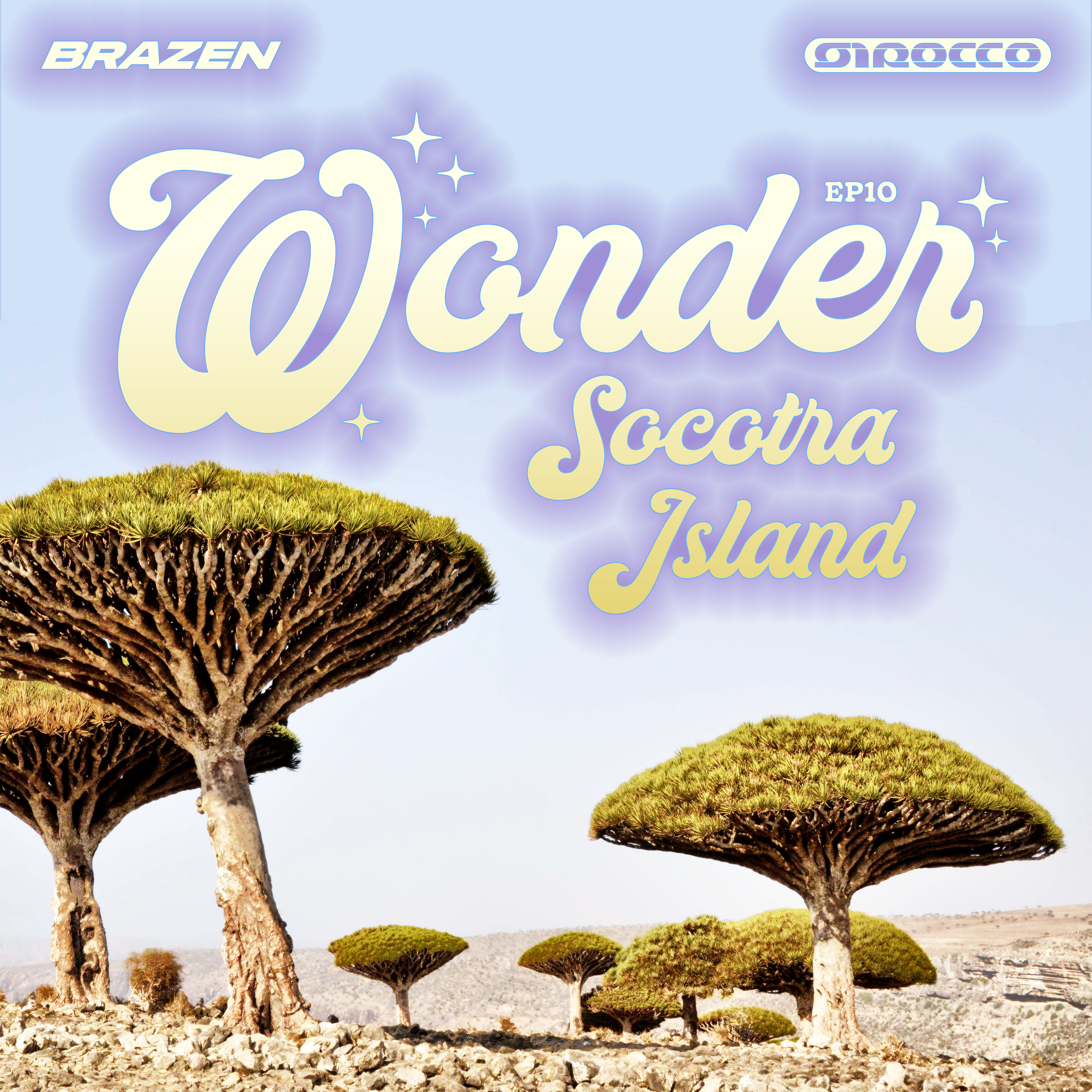 Socotra Island