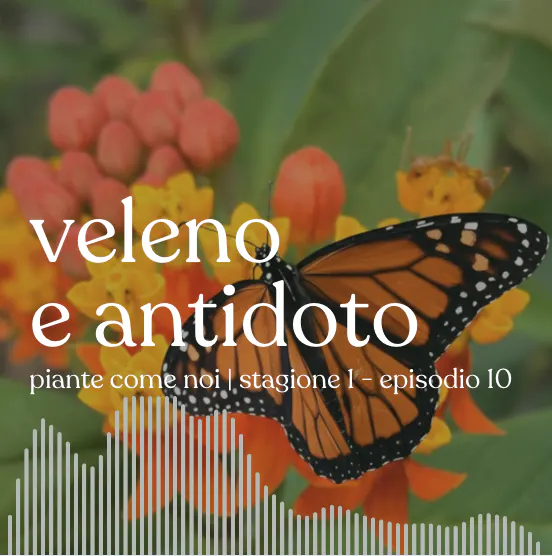 Veleno e antidoto - Stagione 1 | Episodio 10 episode artwork